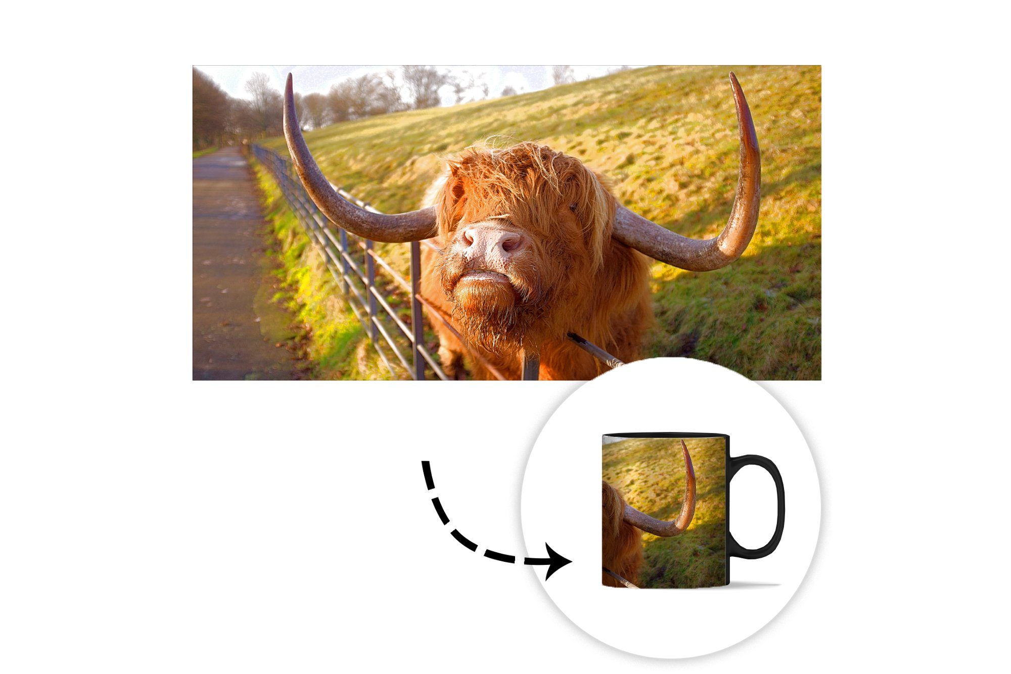 MuchoWow Tasse Scottish Highlander - Kaffeetassen, Keramik, Teetasse, Zaun - Geschenk Farbwechsel, Gras, Zaubertasse