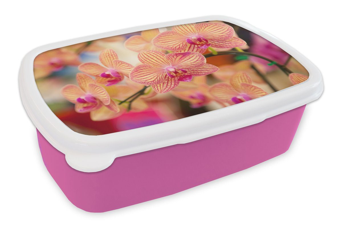 MuchoWow Lunchbox Pflanze - Orchidee - Blumen - Rosa - Flora, Kunststoff, (2-tlg), Brotbox für Erwachsene, Brotdose Kinder, Snackbox, Mädchen, Kunststoff