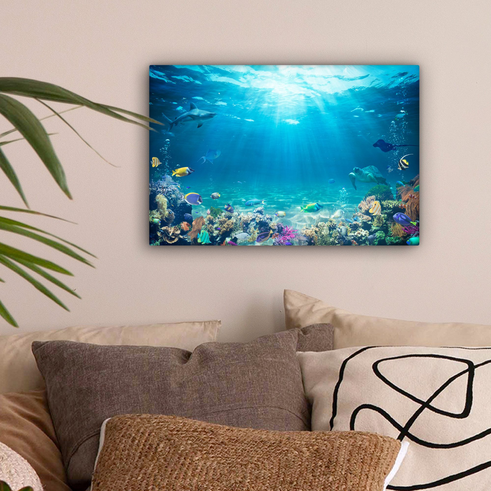 OneMillionCanvasses® Leinwandbild Unterwasserwelt - Meerestiere - Wasser - günstig online kaufen