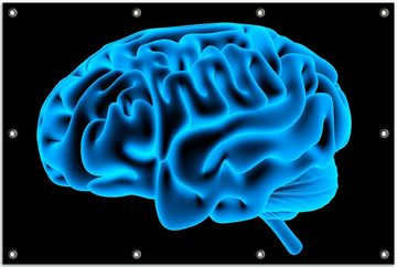 Wallario Sichtschutzzaunmatten Menschliches Gehirn in leuchtend blauer Farbe