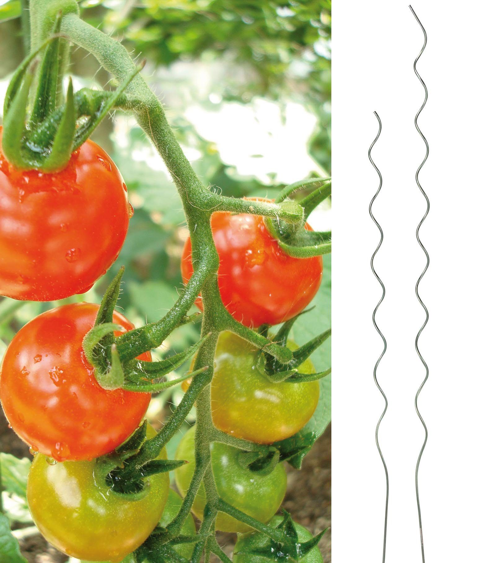 Haushalt International Pflanzentreppe Tomaten-Spiralstab, 150cm Metall, günstig online kaufen