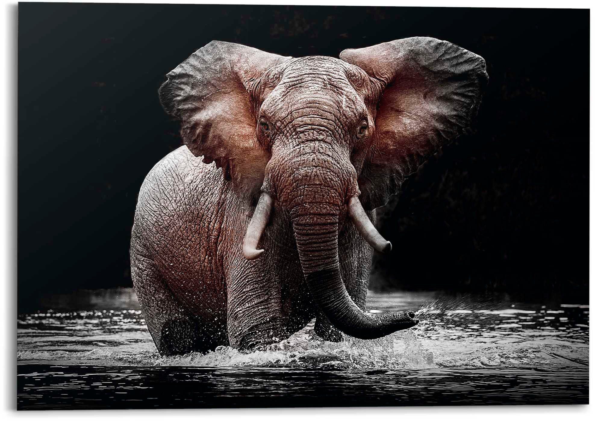 Reinders! Deco-Panel Elefant