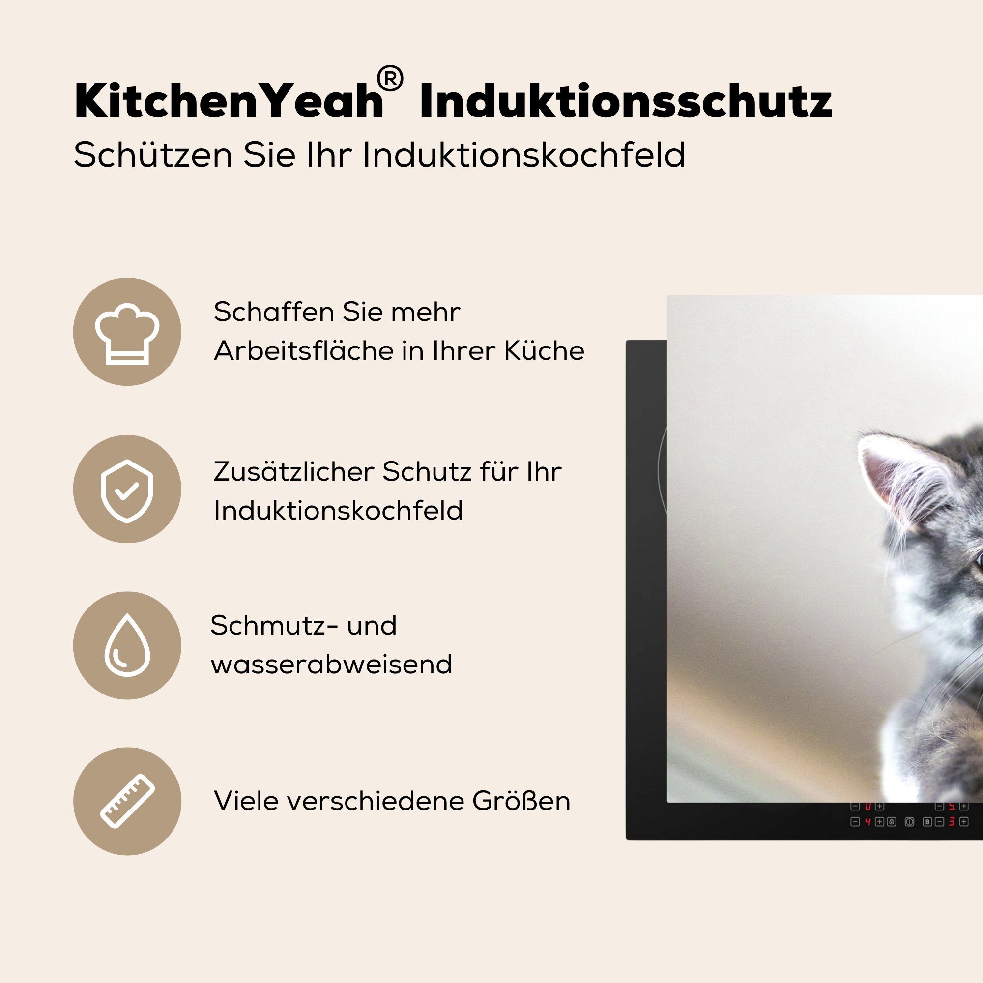 Herdblende-/Abdeckplatte Induktionskochfeld Vinyl, (1 81x52 küche, - die Ceranfeldabdeckung für - MuchoWow Schutz Kratzbaum Grau, tlg), Katze cm,