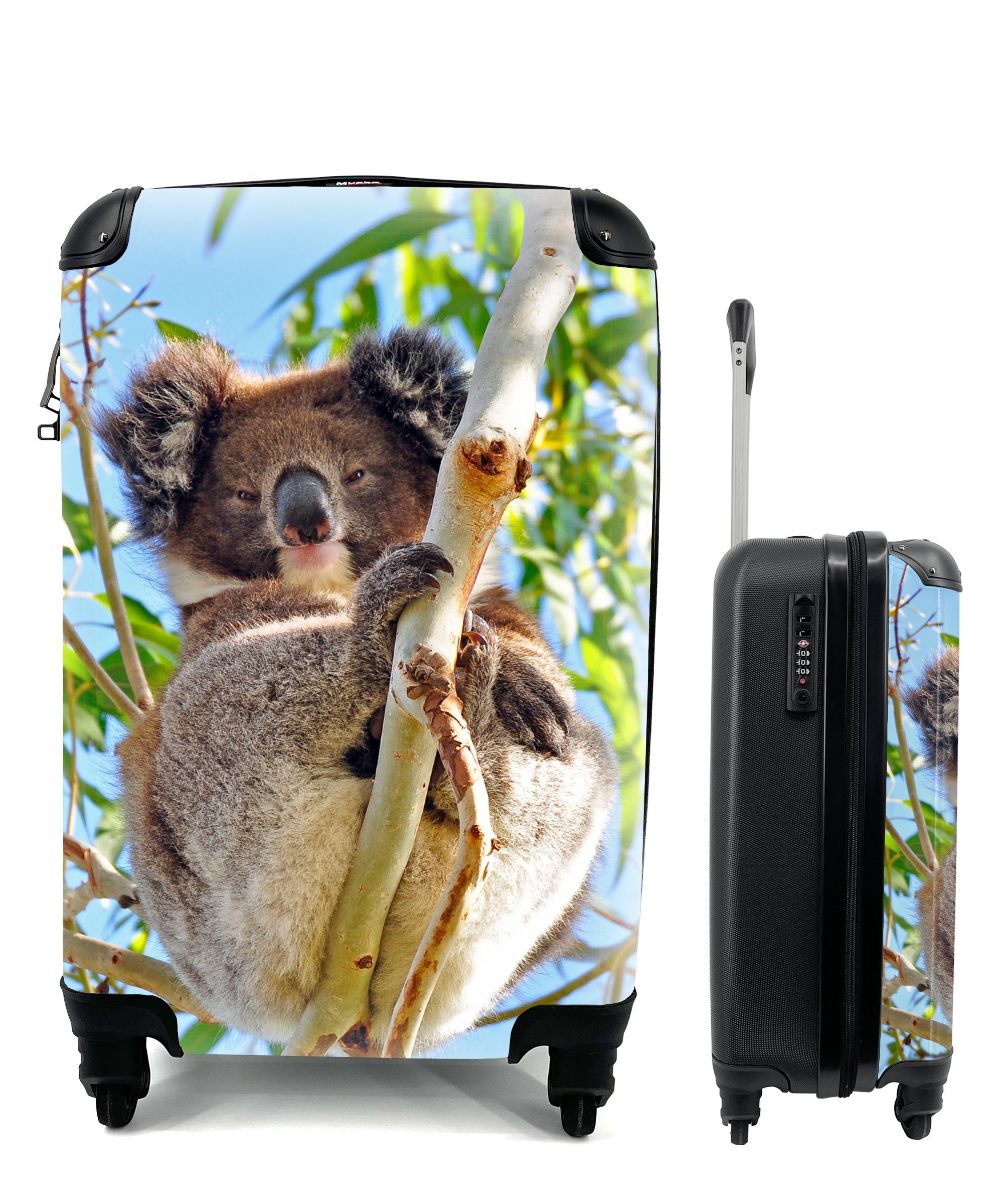 MuchoWow Handgepäckkoffer Koala - Luft - Zweige - Kinder - Jungen - Mädchen, 4 Rollen, Reisetasche mit rollen, Handgepäck für Ferien, Trolley, Reisekoffer