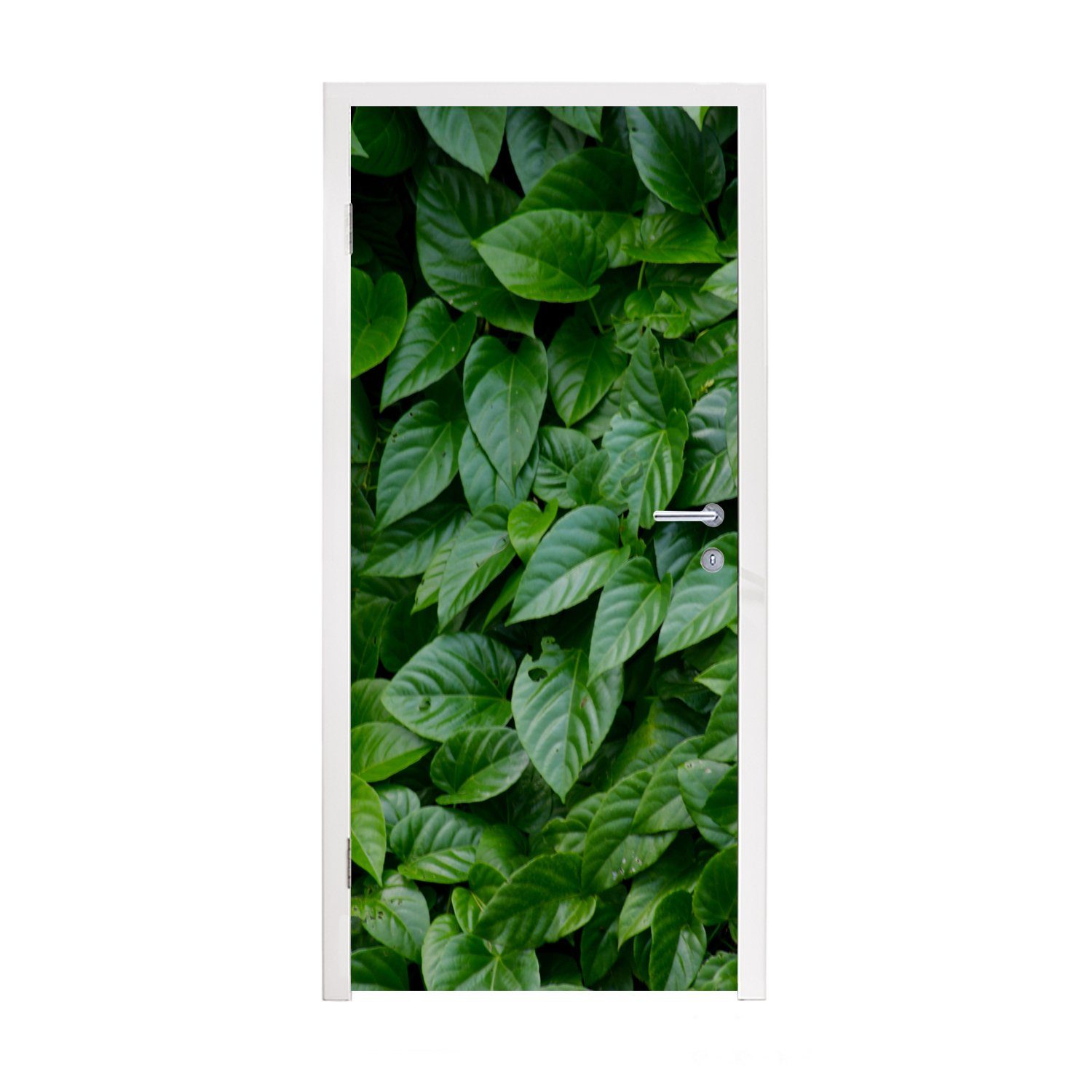 MuchoWow Türtapete Grüne Blätter, Matt, bedruckt, (1 St), Fototapete für Tür, Türaufkleber, 75x205 cm