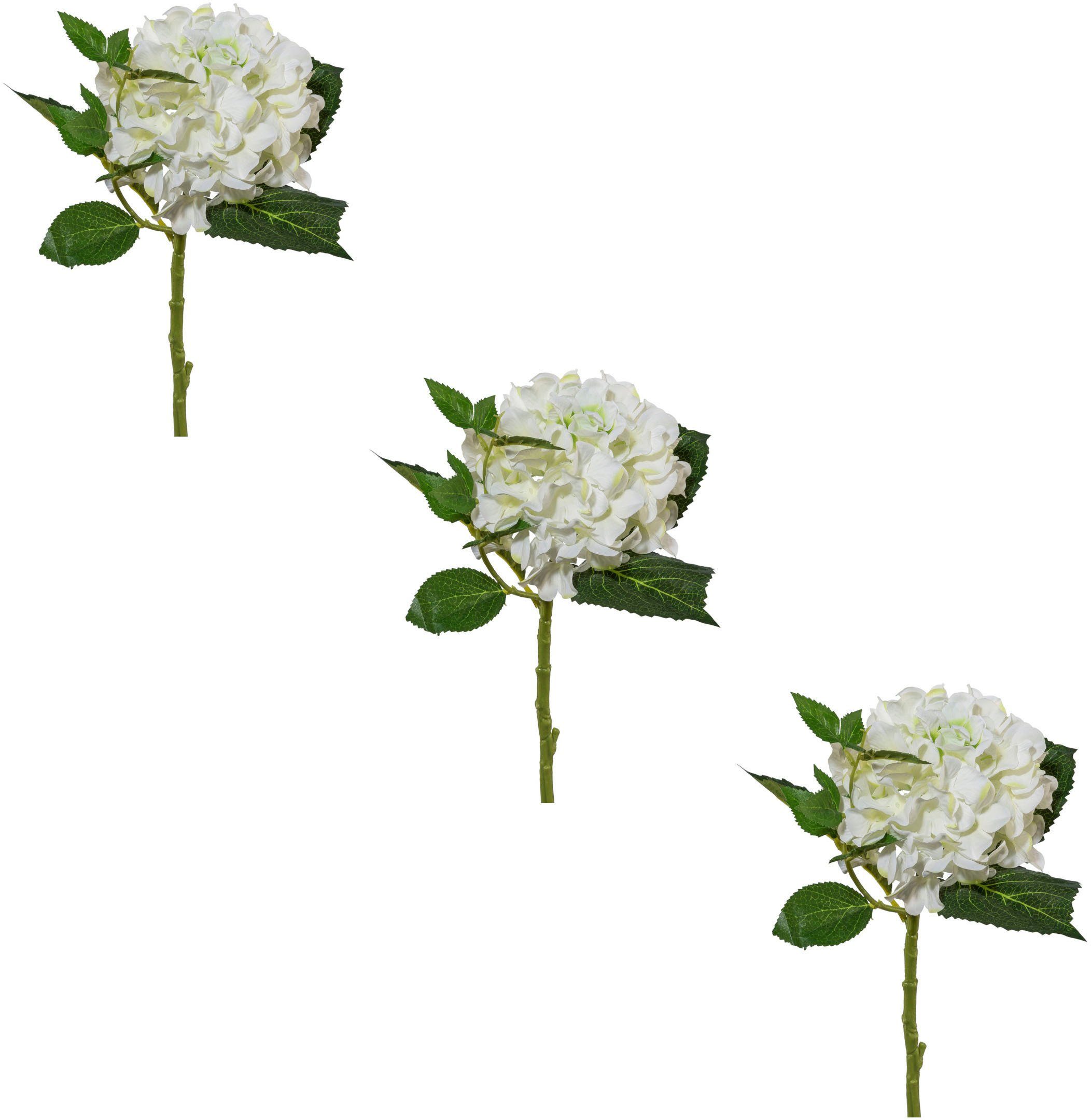Kunstblume Hortensie Hortensie, Creativ green, Höhe günstig online kaufen