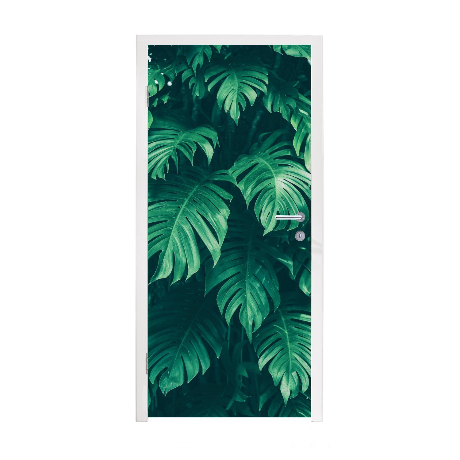 MuchoWow Türtapete Monstera - Blätter - Pflanzen - Dschungel - Natur, Matt, bedruckt, (1 St), Fototapete für Tür, Türaufkleber, 75x205 cm