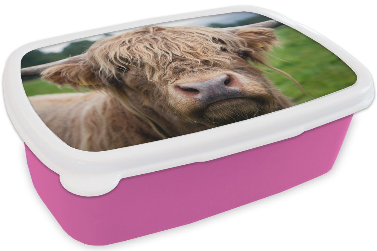 MuchoWow Lunchbox Schottische Kunststoff, Snackbox, Wald, Gras Brotbox Kinder, Brotdose (2-tlg), Highlander Kunststoff für - - Erwachsene, rosa Mädchen