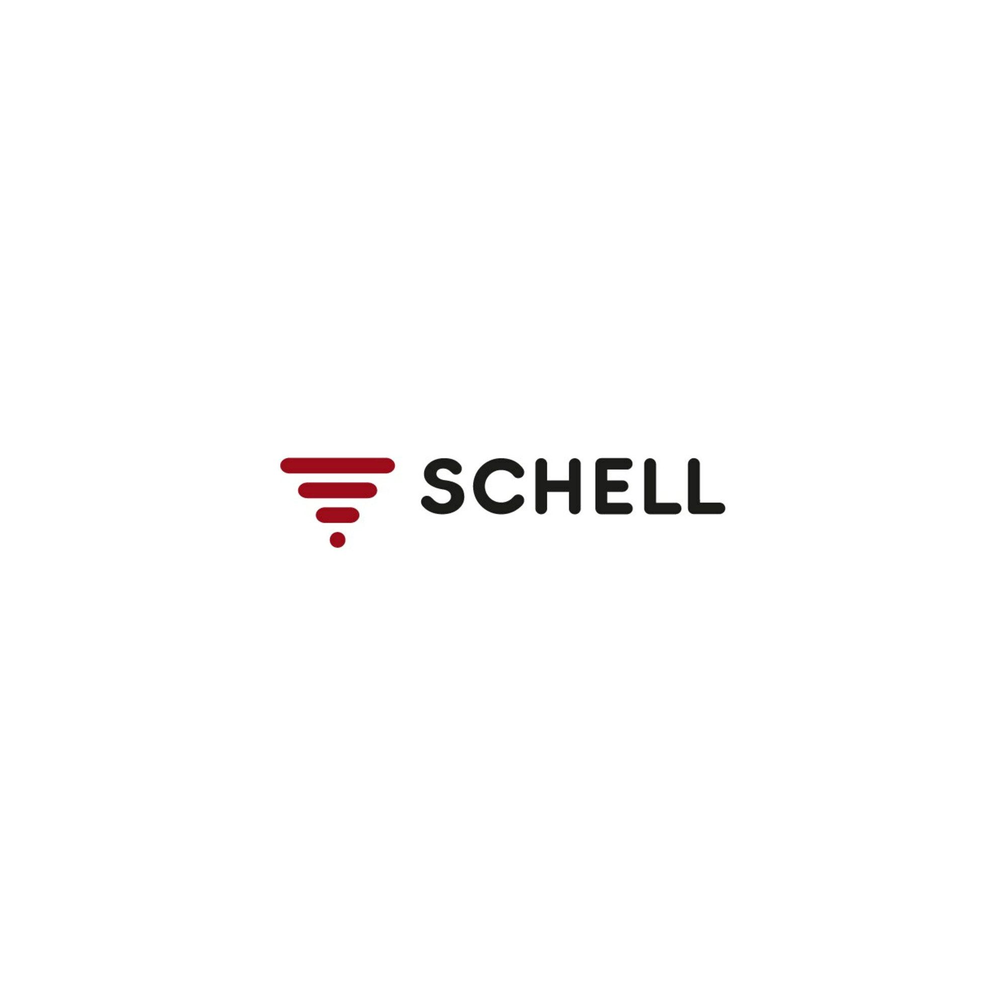 Schell Waschbecken Schell IR-Urinal-Drucksp. Schelltronic DN 15, Batteriebetrieb, verchro