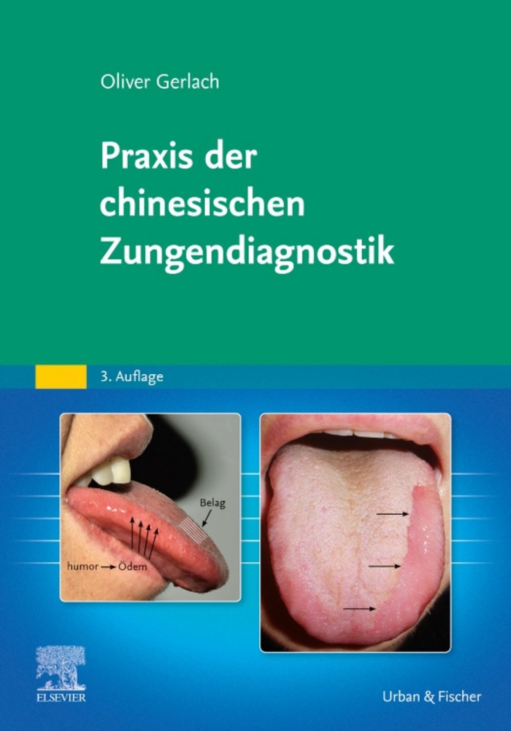 Praxis der chinesischen Zungendiagnostik / Oliver Gerlach