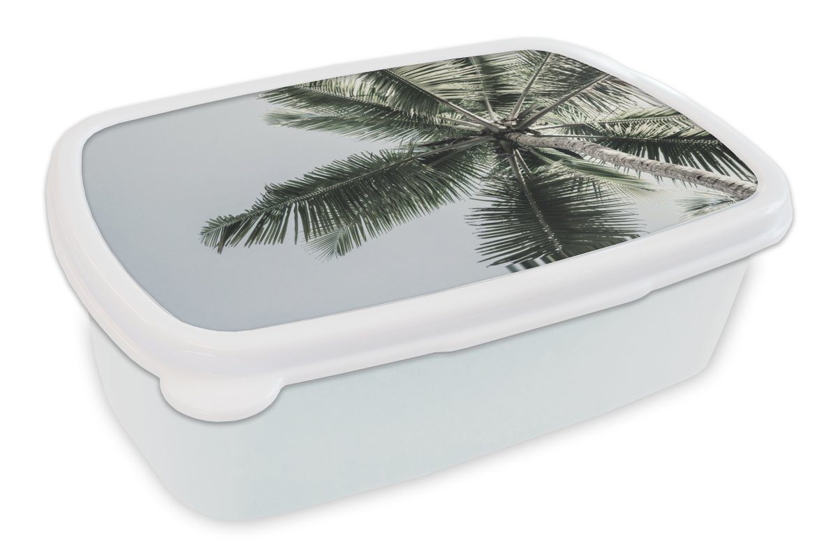 MuchoWow Lunchbox Palme - Tropisch - Sommer, Kunststoff, (2-tlg), Brotbox für Kinder und Erwachsene, Brotdose, für Jungs und Mädchen weiß