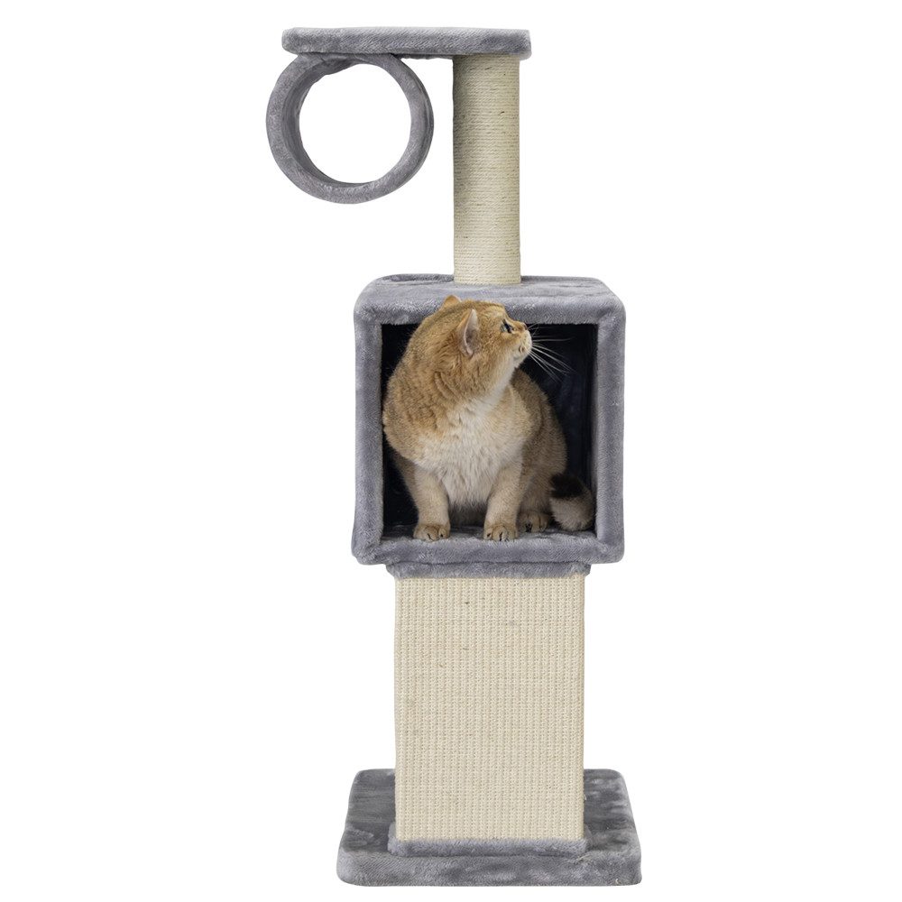 Nobby Kratzbaum Kratzbaum "FINA"