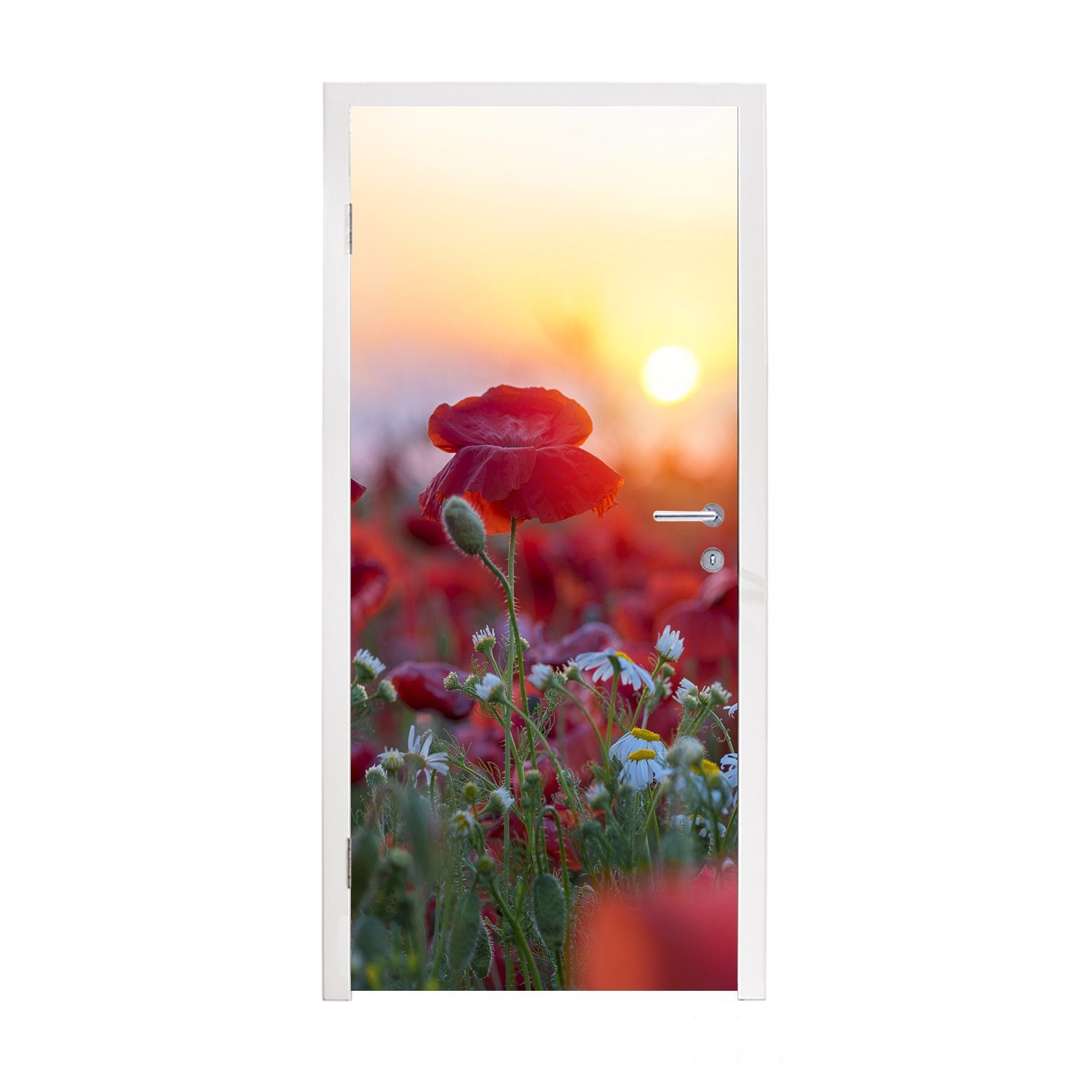 MuchoWow Türtapete Landschaft mit Mohnblumen am Morgen, Matt, bedruckt, (1 St), Fototapete für Tür, Türaufkleber, 75x205 cm