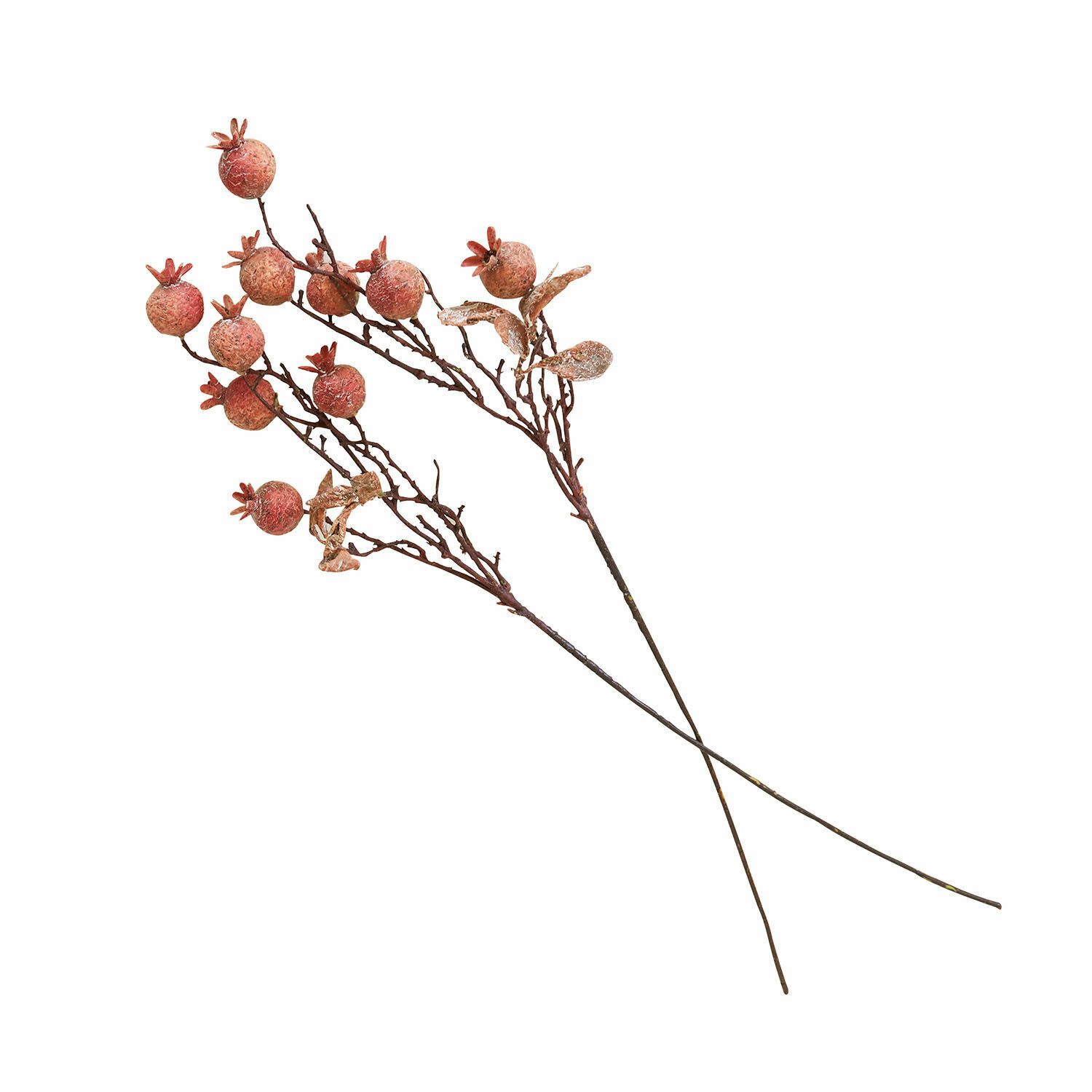 Kunstblume Deko-Zweig 2er Set Salviero braun, günstig online kaufen