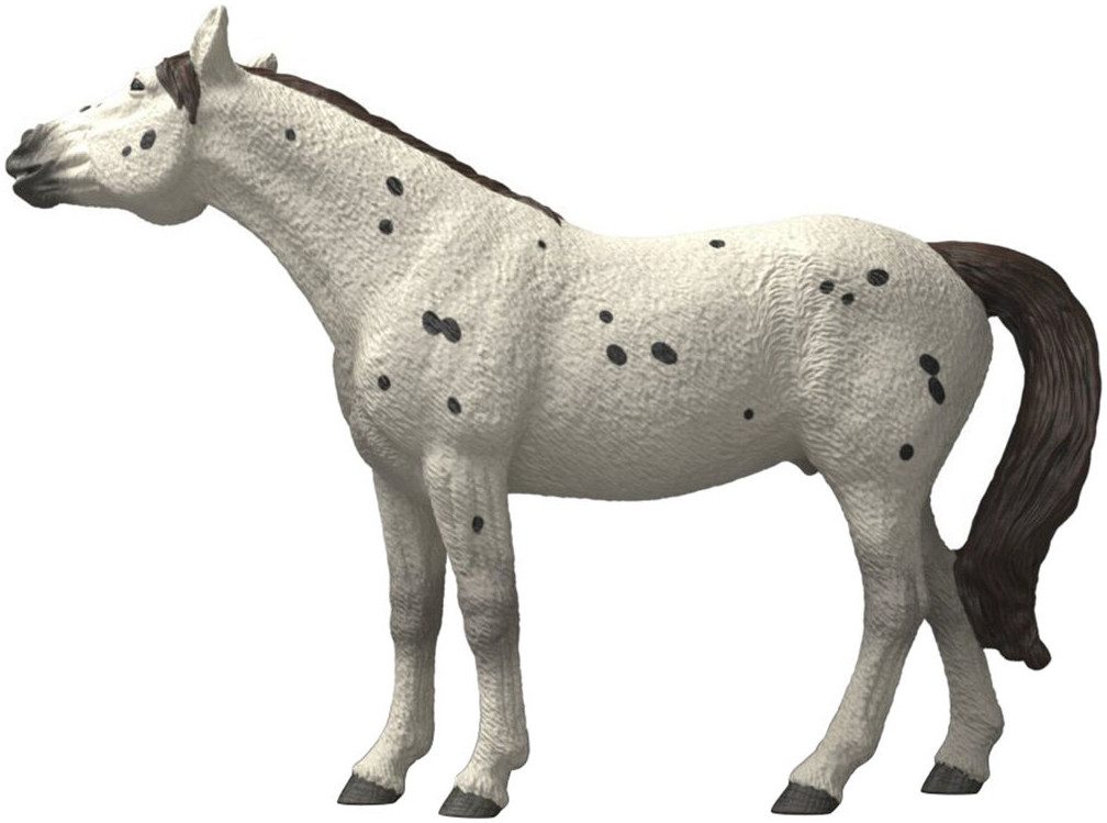 Schleich® Spielfigur HORSE CLUB, Knabstrupper Wallach (14916) – Bild 4 von 5