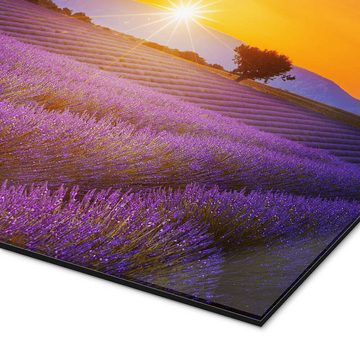 Posterlounge XXL-Wandbild Editors Choice, Sonne über dem Lavendel, Mediterran Fotografie