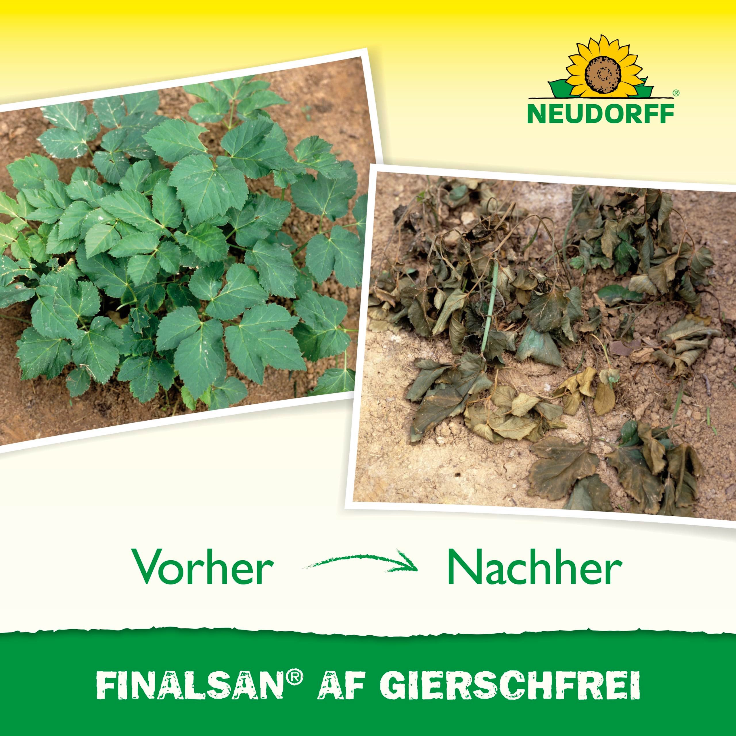 Neudorff Unkrautbekämpfungsmittel Finalsan AF GierschFrei 750 ml für 25 m², 750 ml, schonend für Haustiere, Unkraut entferner ohne Glyphosat, Schnell wirkend, gegen Giersch und Ackerschachtelhalm, Wirkt bis in die Wurzel und hält wochenlang an
