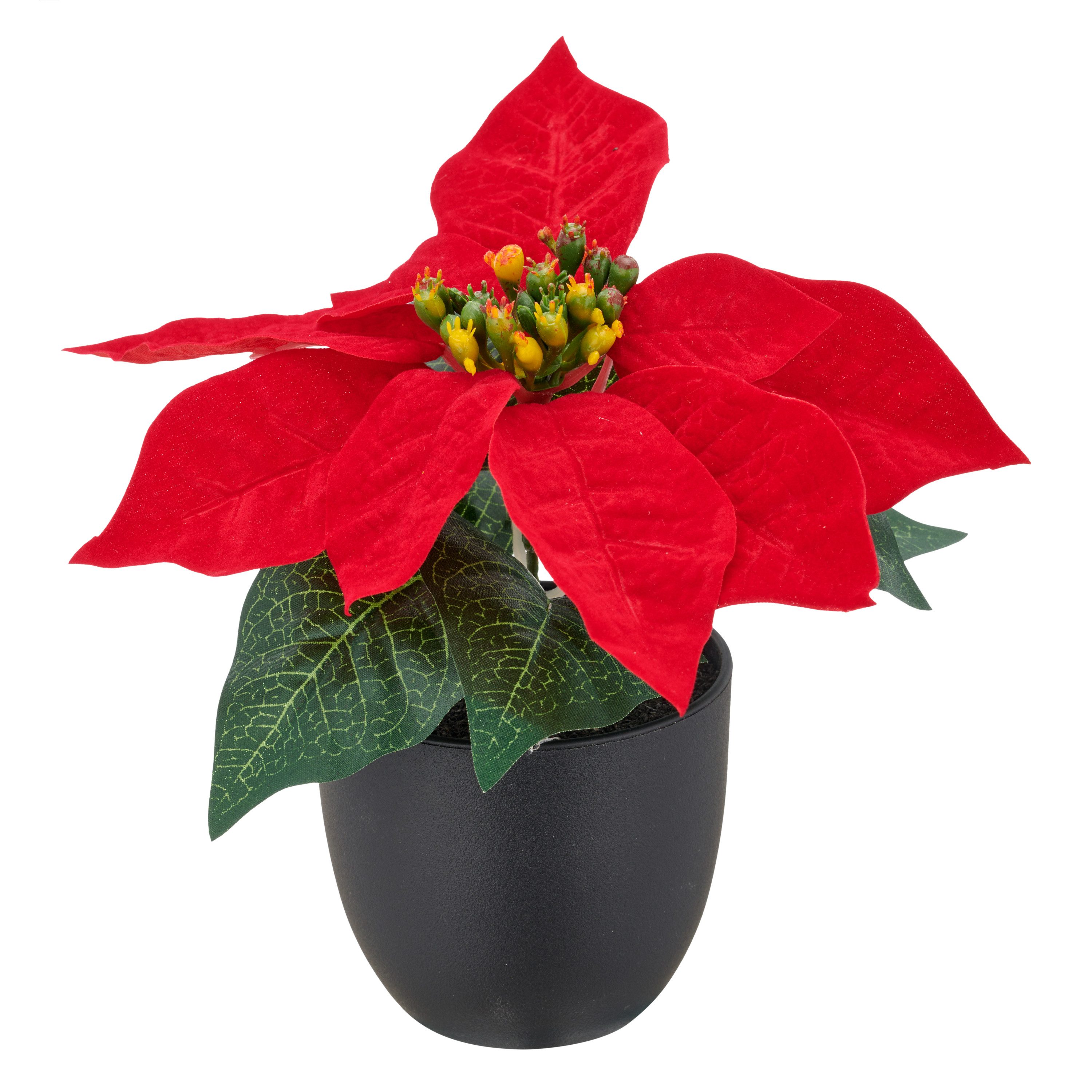 Kunstblume Weihnachtsstern, Creativ green, Höhe 16 cm, mit dauerhafter Blütenpracht