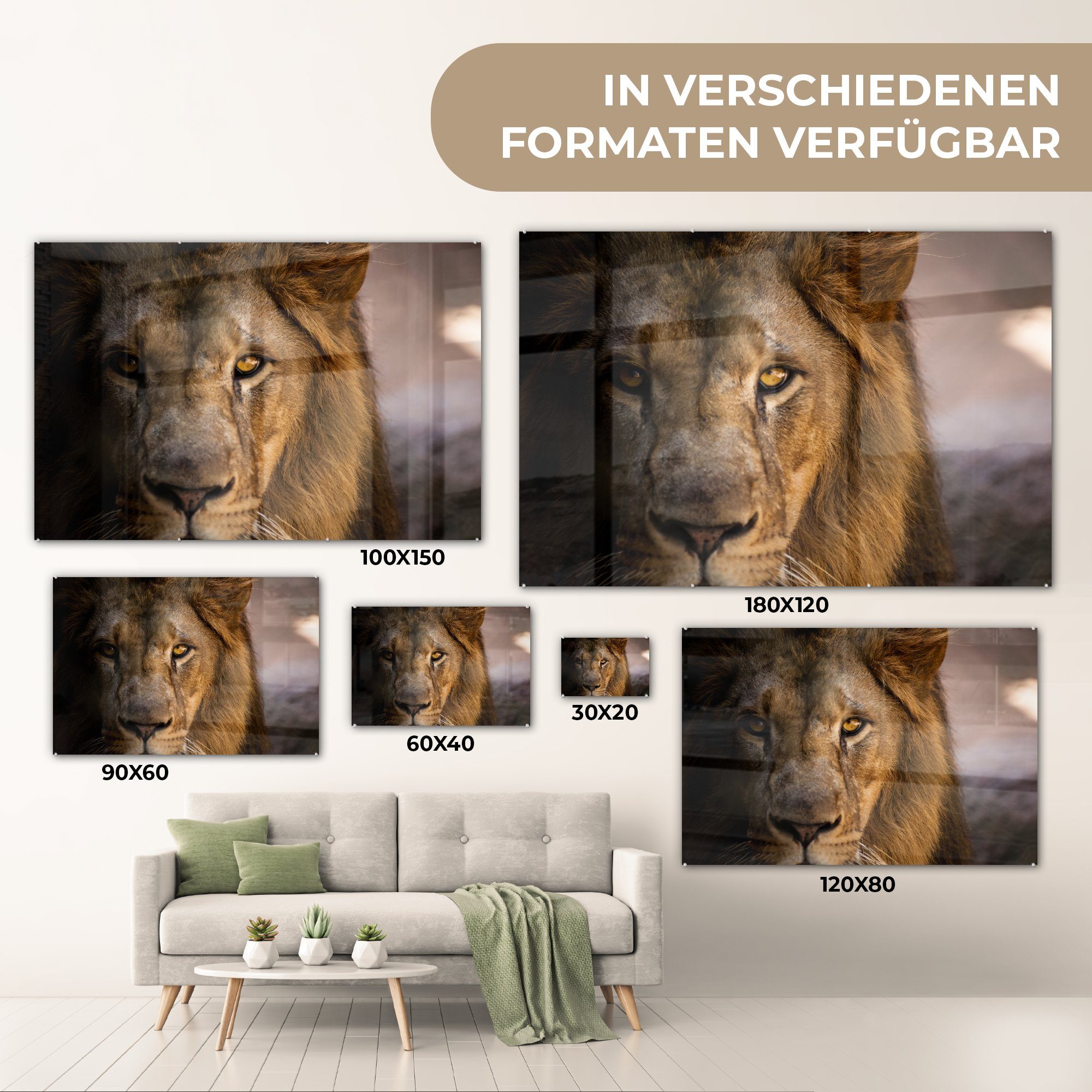 Bilder Glas Profil MuchoWow auf Löwen auf (1 Wandbild - St), Glas Acrylglasbild Wanddekoration Farben, - - - - Glasbilder Foto