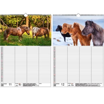 Seelenzauber Wandkalender Wandplaner Familienplaner 4 Spalten - Ponyzauber DIN A3 Kalender für