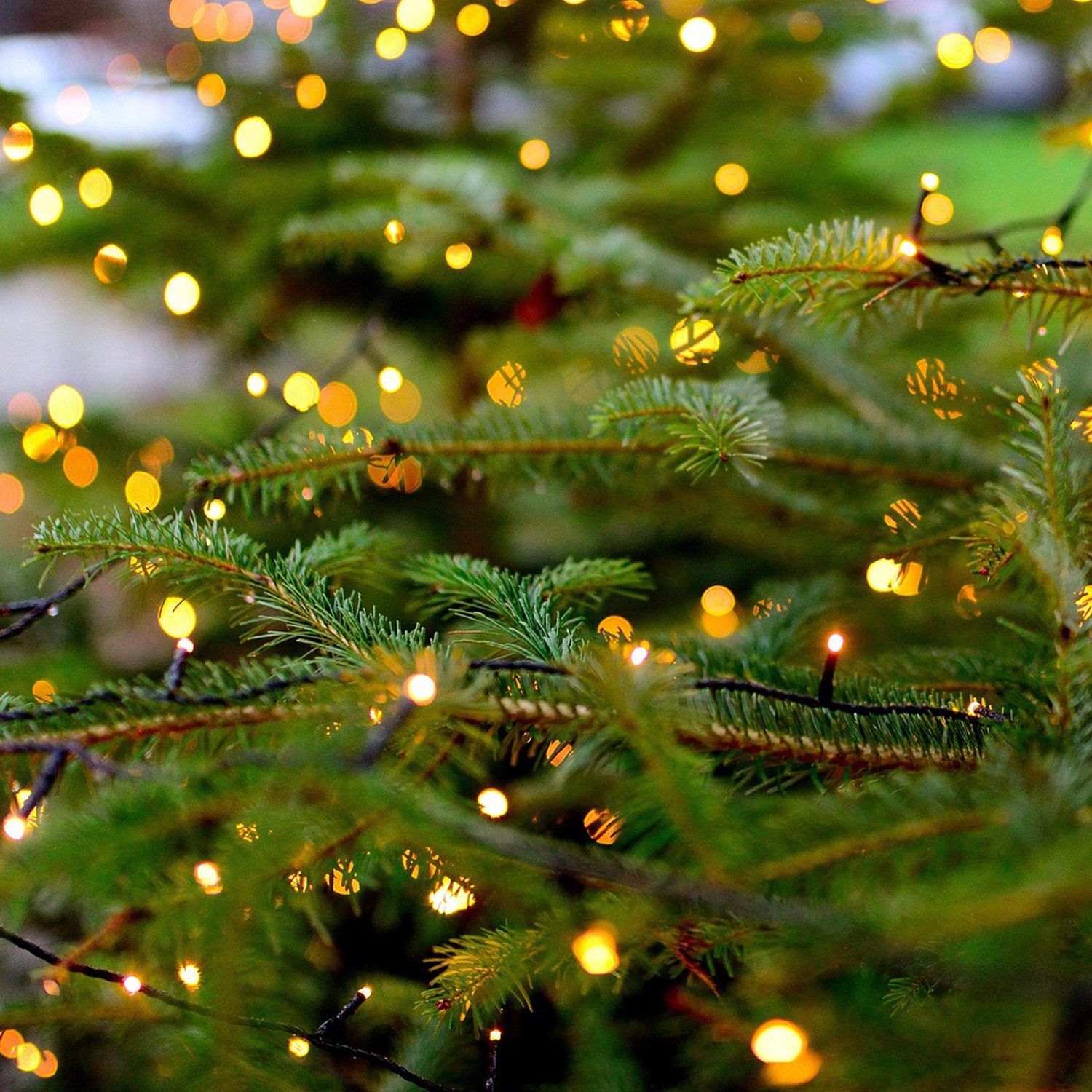 MARELIDA LED-Lichterkette Weihnachten 300 bernstein LED 8 Funktionen 16m für Außen, 300-flammig – Bild 5 von 5