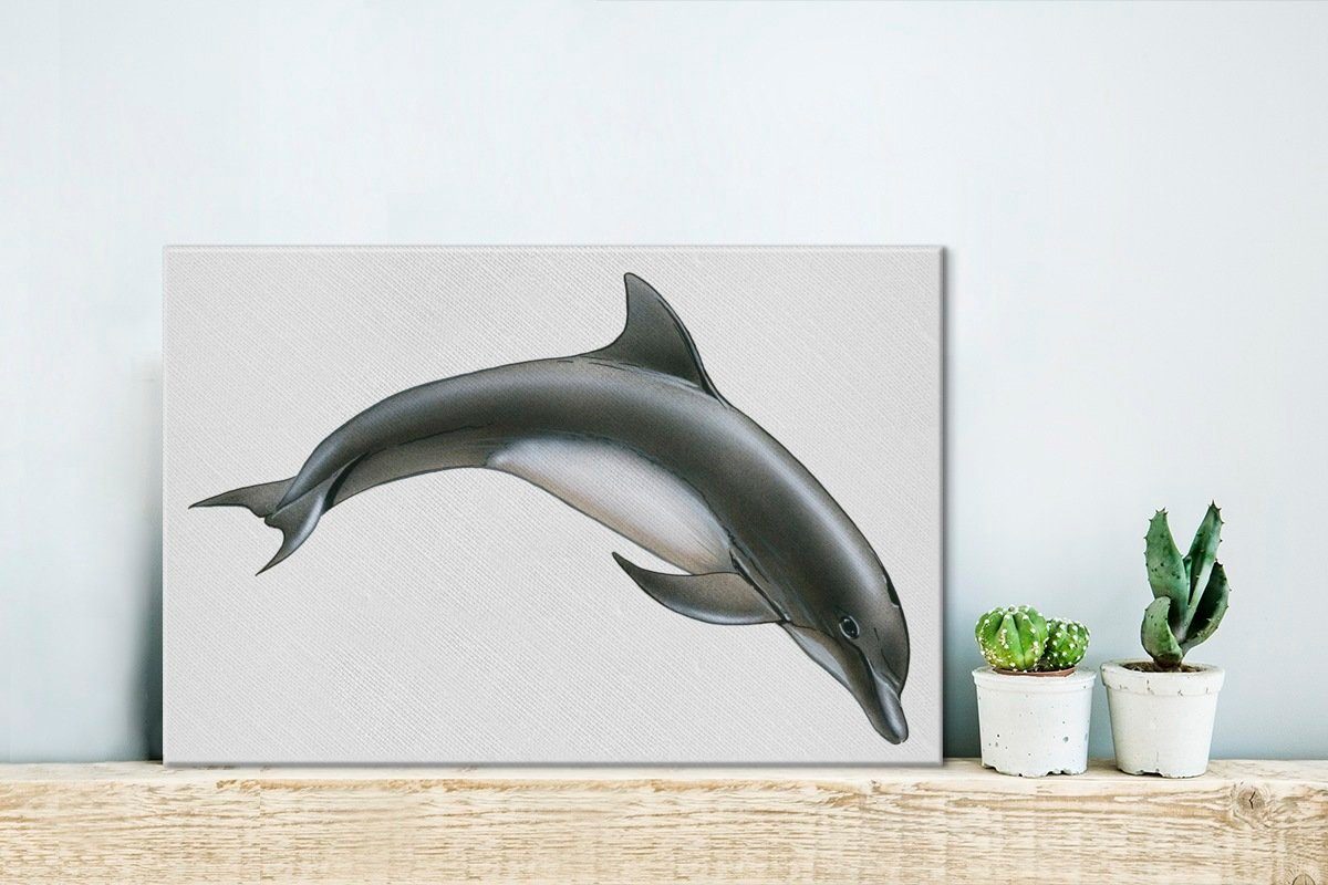 OneMillionCanvasses® Leinwandbild (1 Aufhängefertig, Wandbild - Leinwandbilder, Wanddeko, 30x20 Delfin St), Weiß, cm