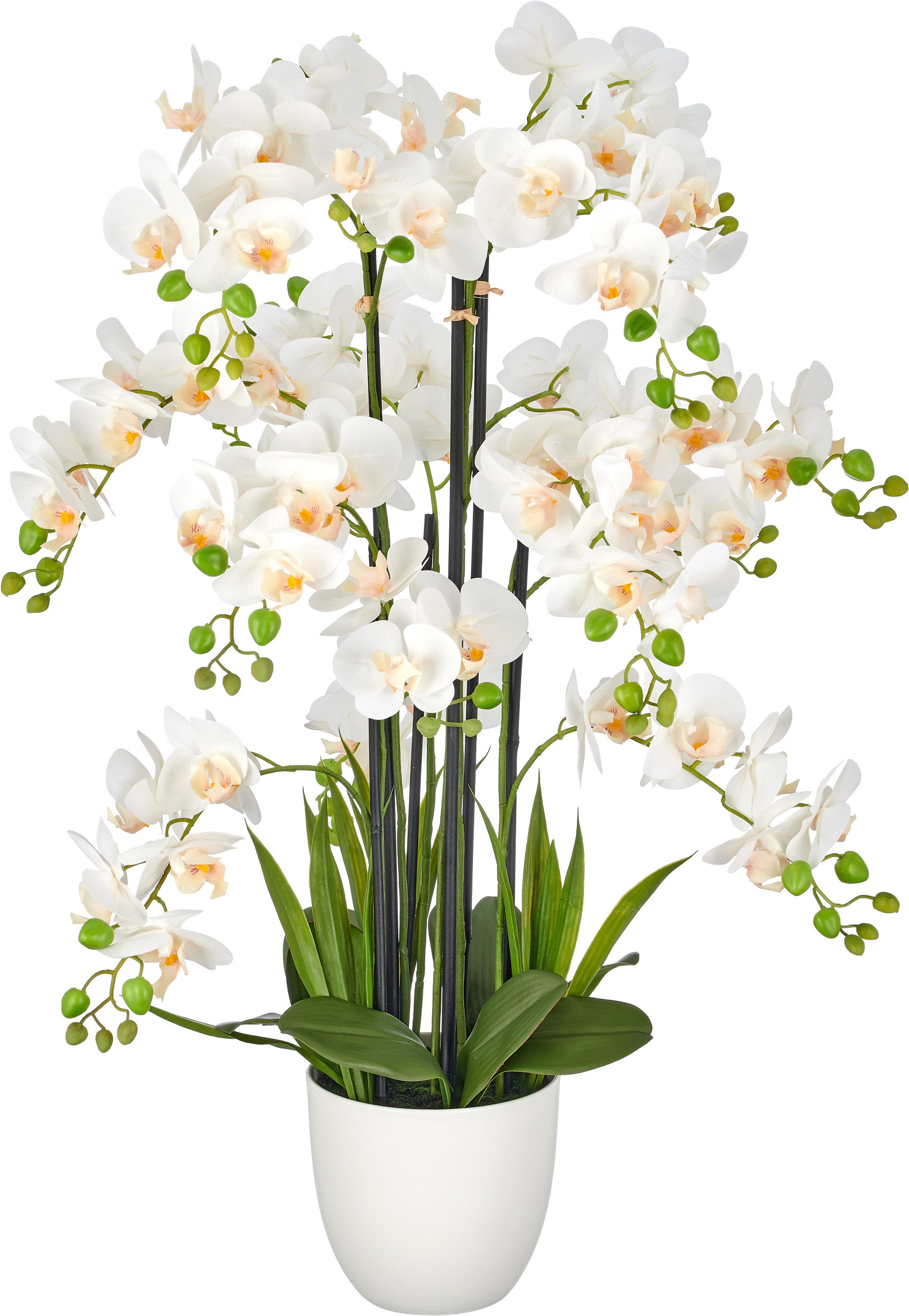Kunstorchidee Phalaenopsis, Creativ green, Höhe 90 cm, mit Real-Touch-Blüten