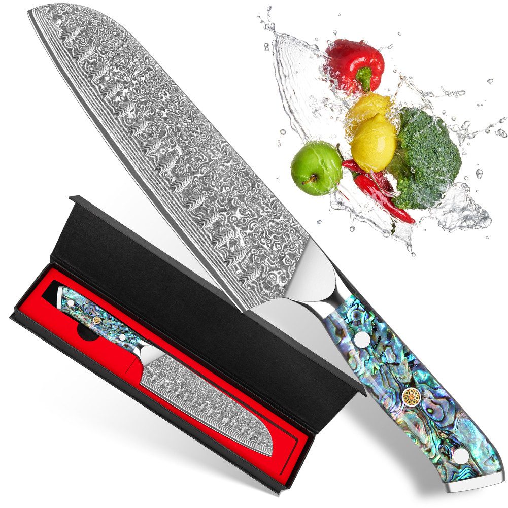 KEENZO Damastmesser Santoku-Messer aus 67 Lagen VG10 Damaststahl Abalone-Muschel Griff