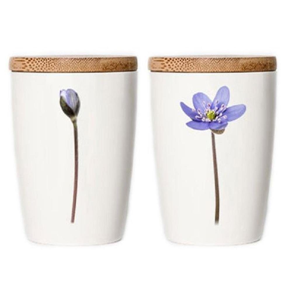 Simply Flowers Vorratsdose Tasse Lederblümchen (Groß)