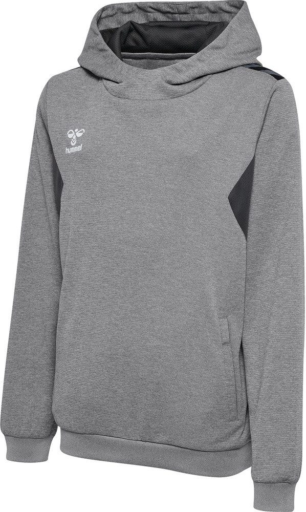 Hoodie Hmlauthentic Pl Hoodie Kids