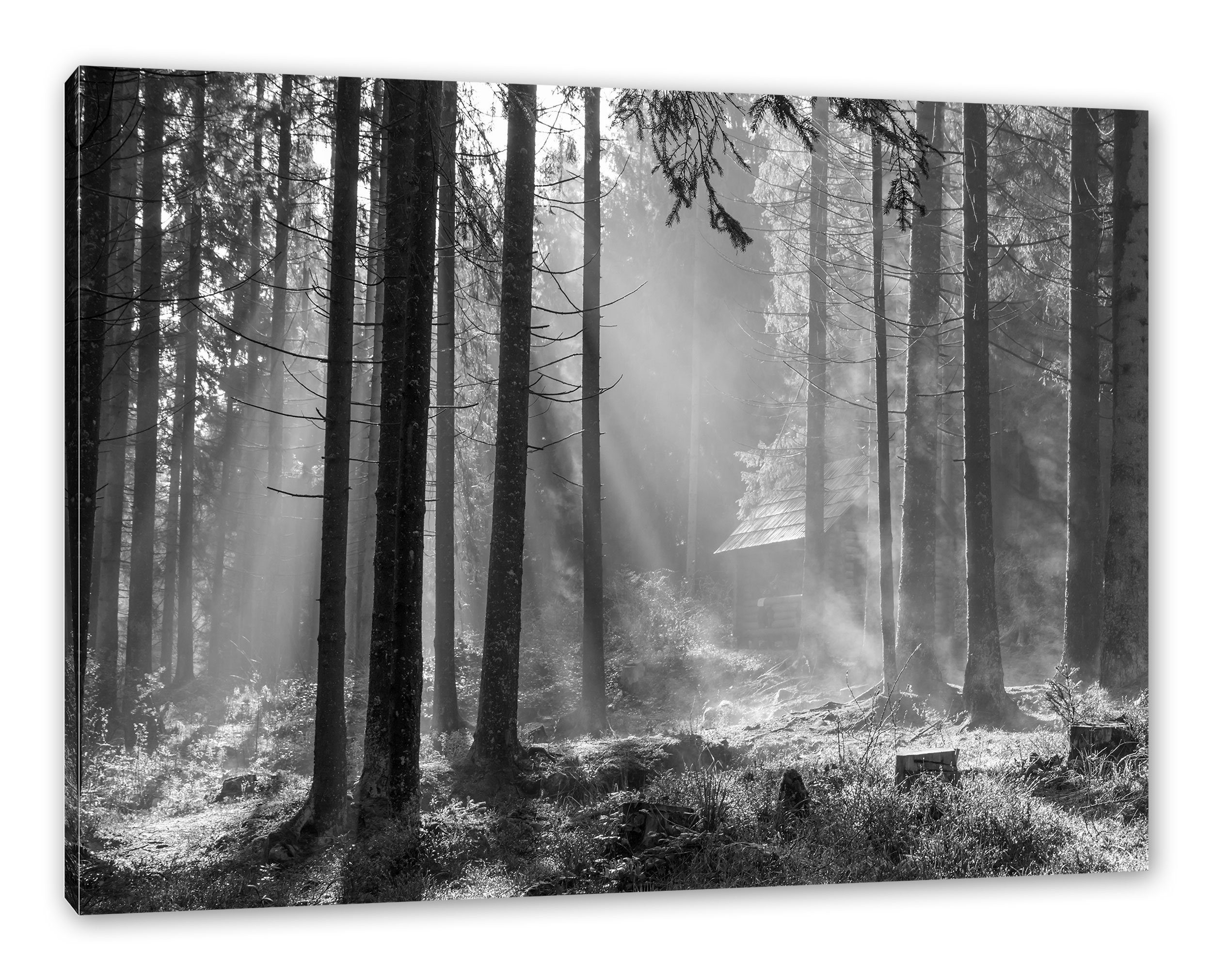 Pixxprint Leinwandbild Häuschen Häuschen Wald fertig (1 Zackenaufhänger bespannt, im St), Leinwandbild Wald, inkl. im