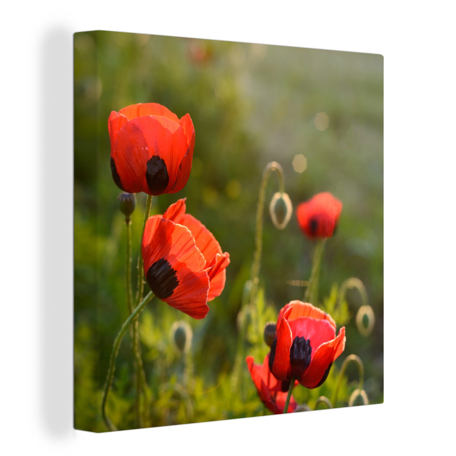 Wohnzimmer Schlafzimmer Sonnenuntergang, St), OneMillionCanvasses® für Leinwand bei Bilder (1 Mohnblumen Leinwandbild