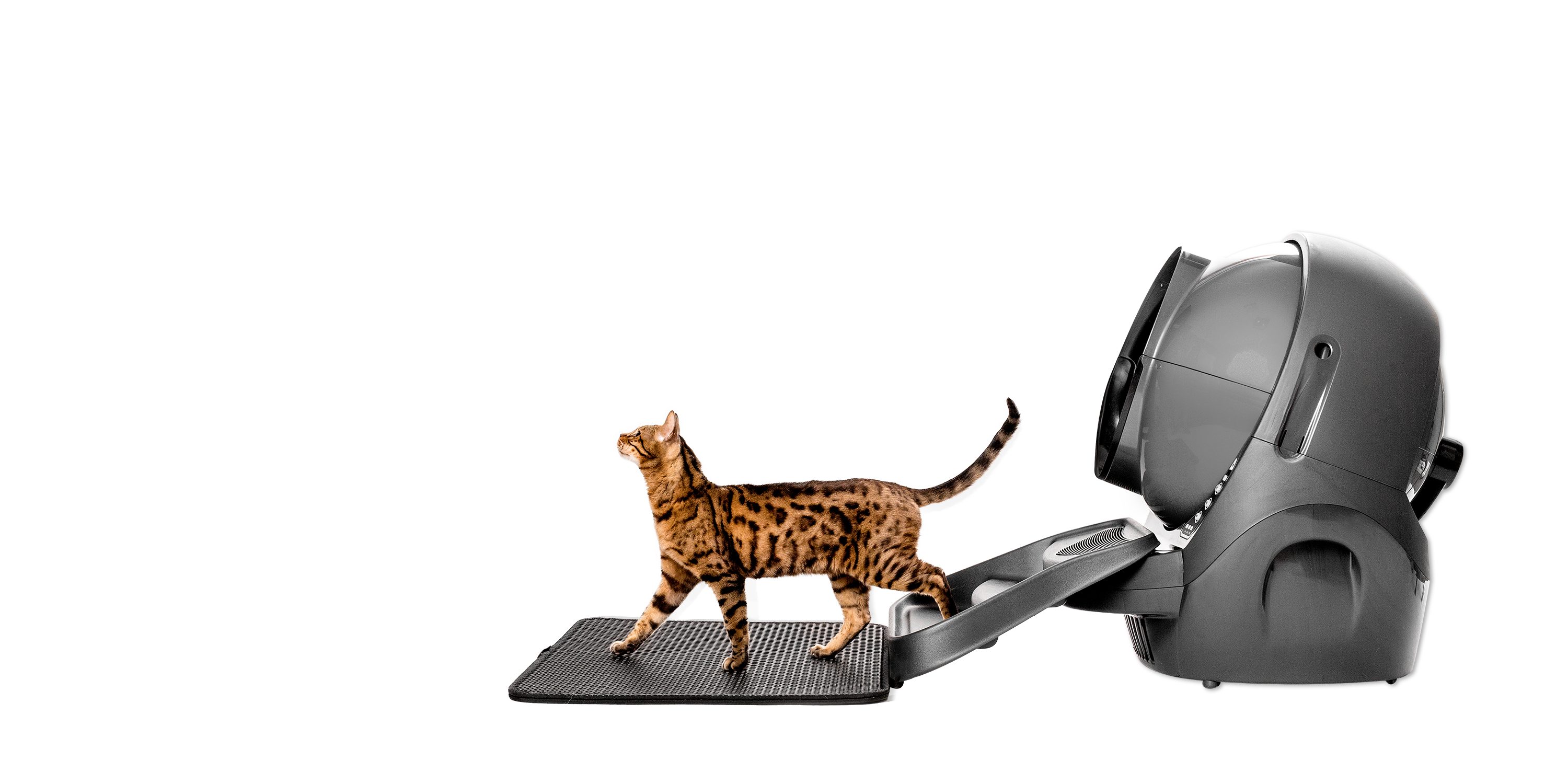 Whisker Katzentoilette Rampe für Litter Robot