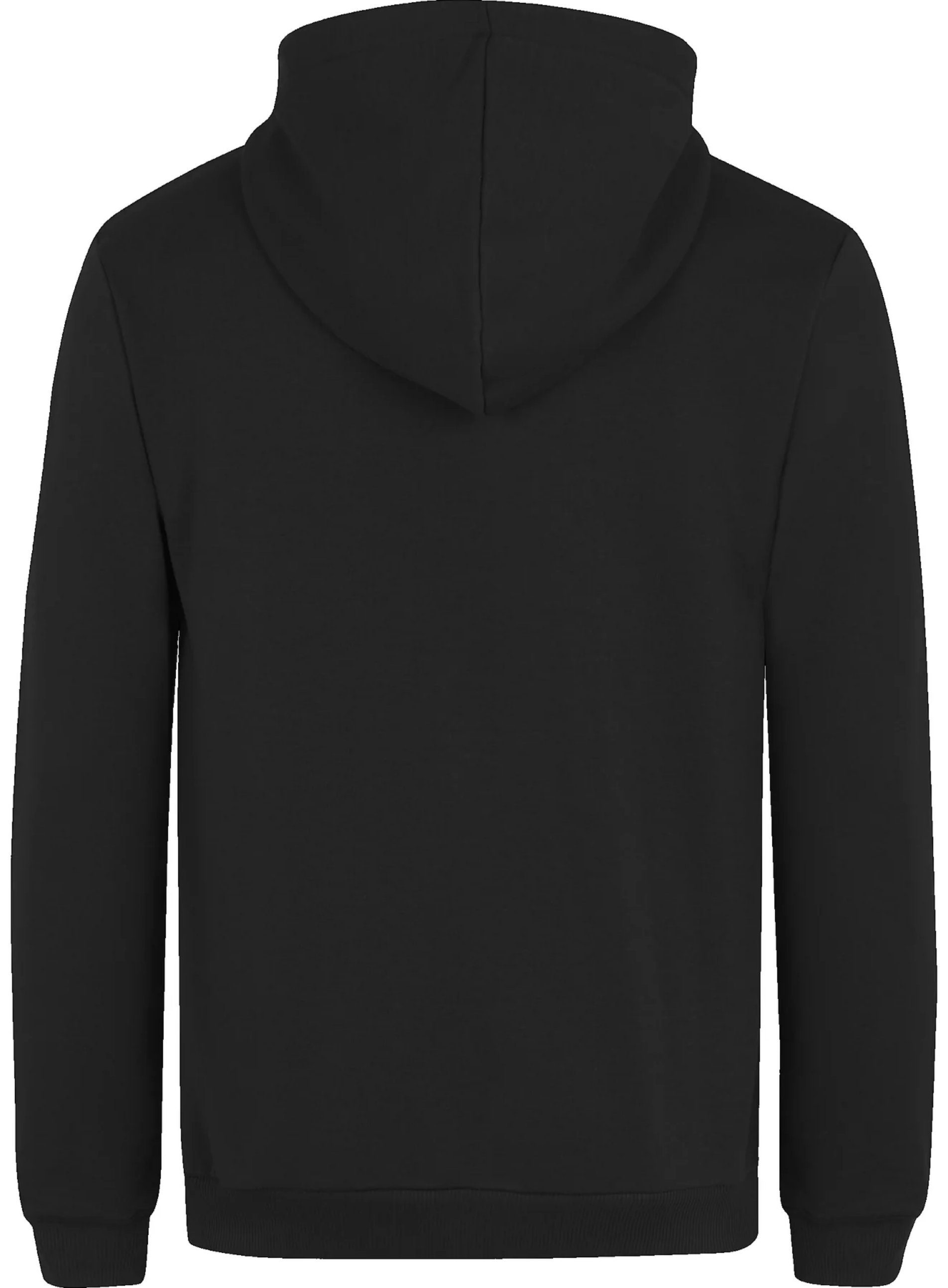 Fila Kapuzensweatshirt BELTINCI hoody