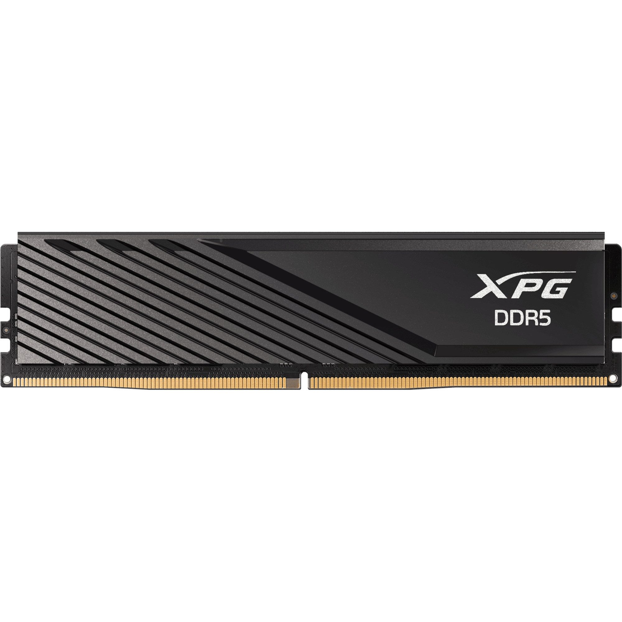 ADATA DIMM 16 GB DDR5-6000 (1x 16 GB), Arbeitsspeicher
