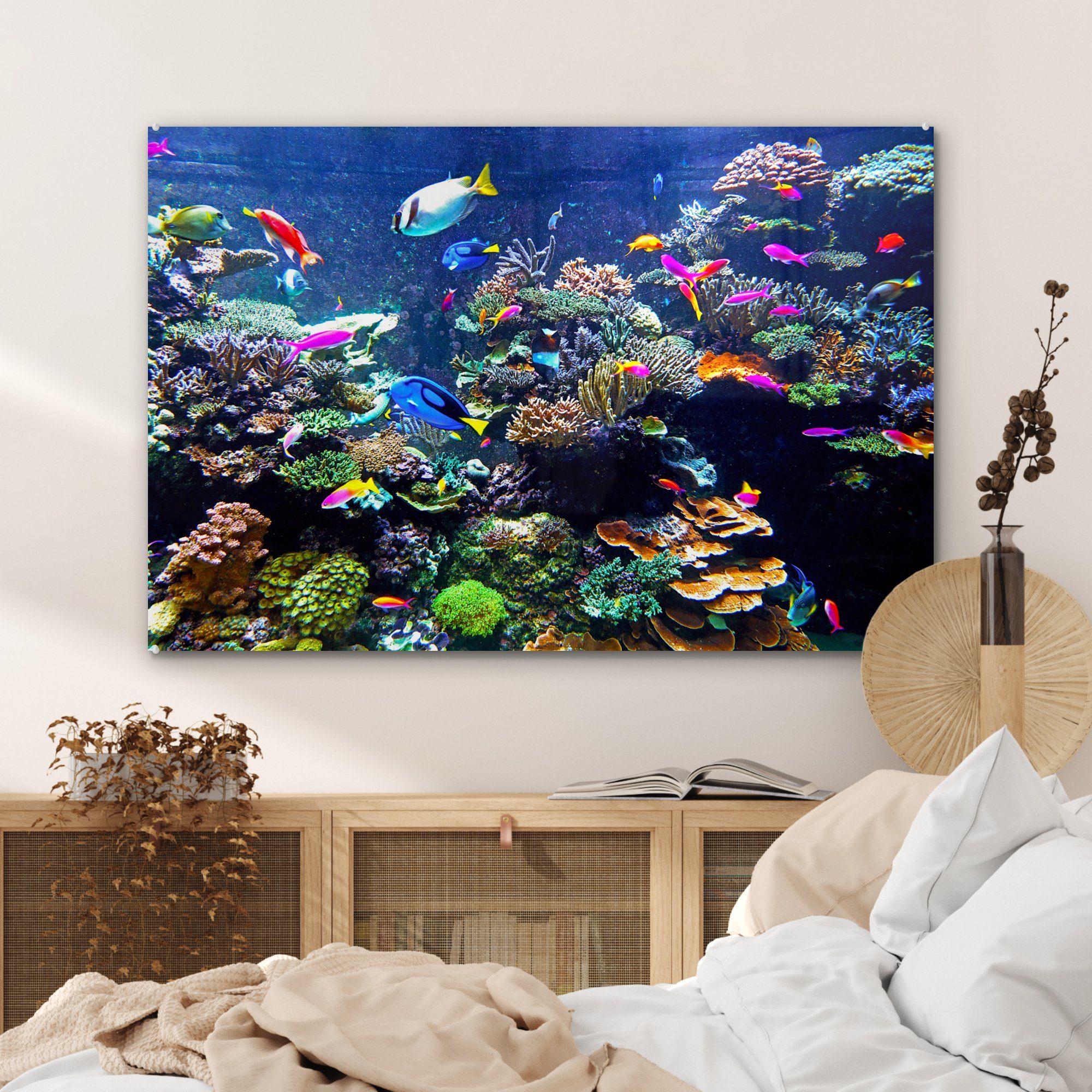 Fische Koralle Acrylglasbilder - MuchoWow Acrylglasbild Schlafzimmer - Wohnzimmer St), & (1 Aquarium,
