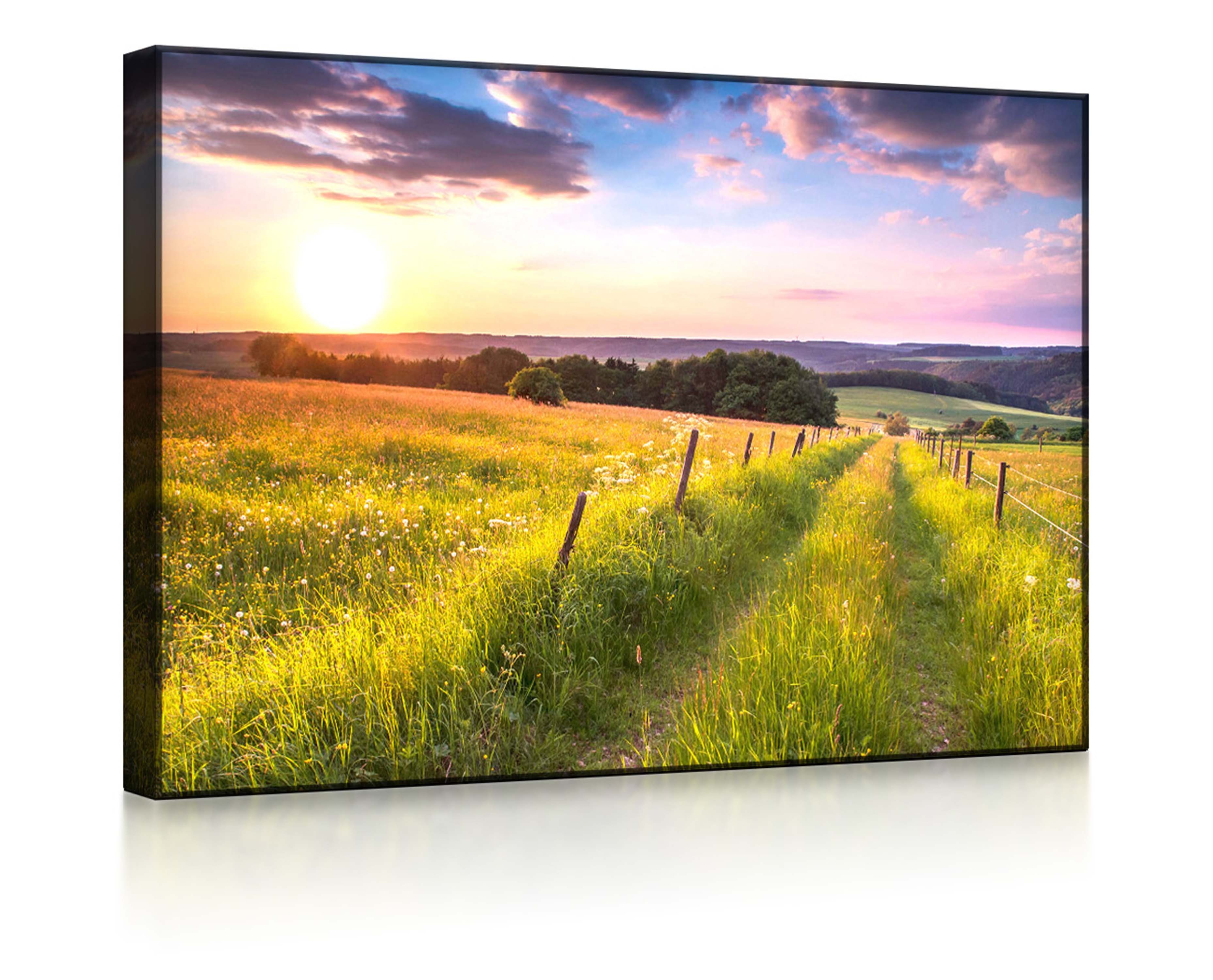 lightbox-multicolor LED-Bild Wunderschöne Bergwiese im Sonnenaufgang front lighted / 60x40cm, Leuchtbild mit Fernbedienung