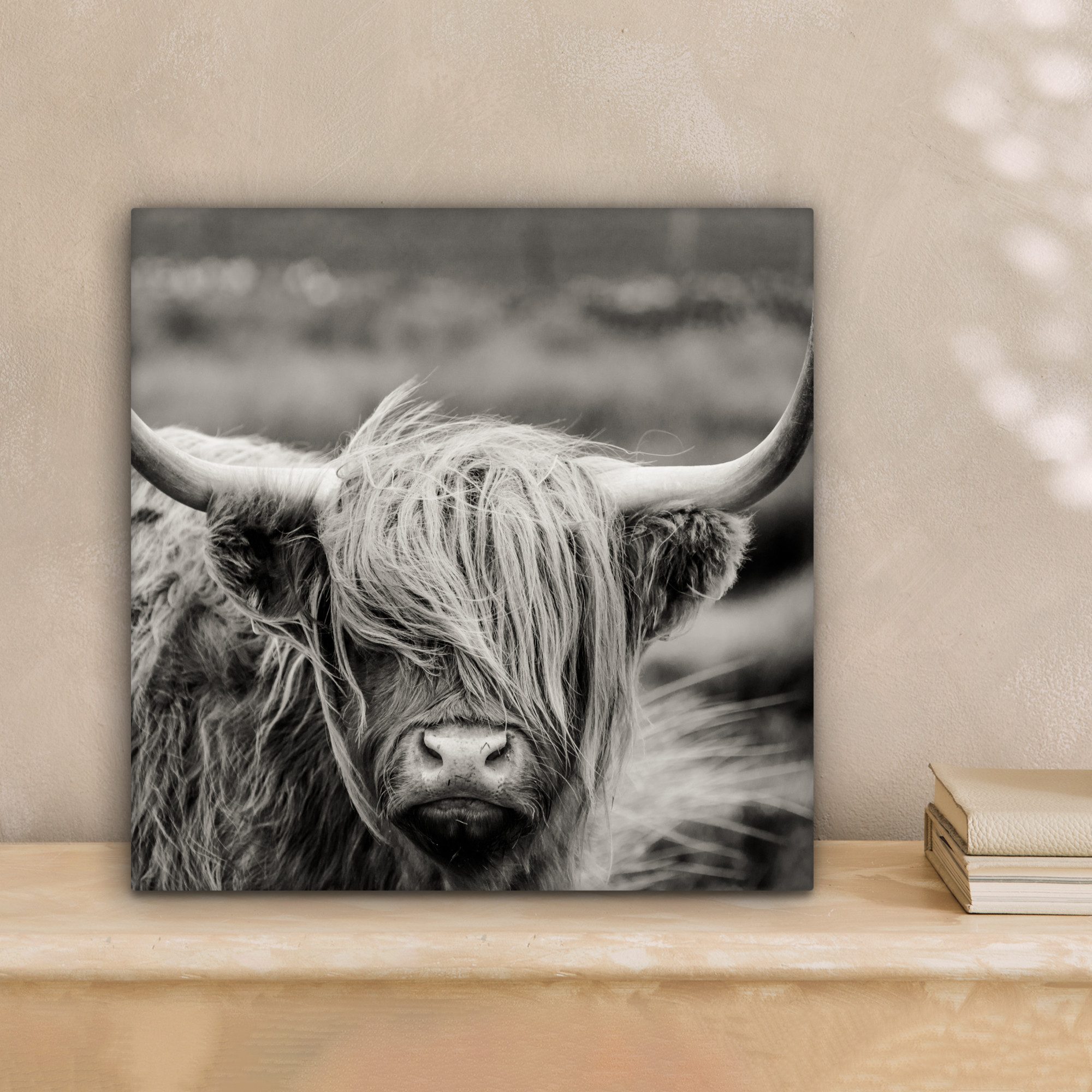 OneMillionCanvasses® Leinwandbild Schottischer Highlander - Kuh - Tiere - S günstig online kaufen