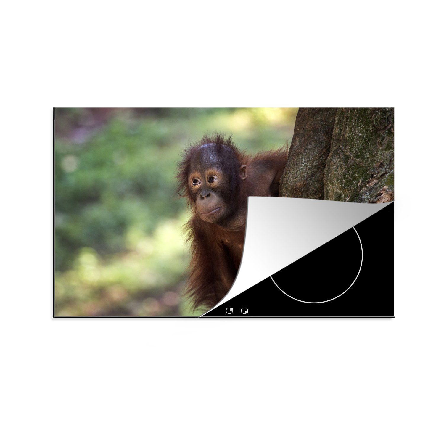 MuchoWow Herdblende-/Abdeckplatte Baby - Orang-Utan - Baum, Vinyl, (1 tlg), 81x52 cm, Induktionskochfeld Schutz für die küche, Ceranfeldabdeckung