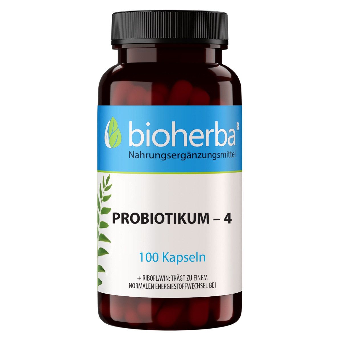Probiotikum–4 100 Kapseln Kapseln