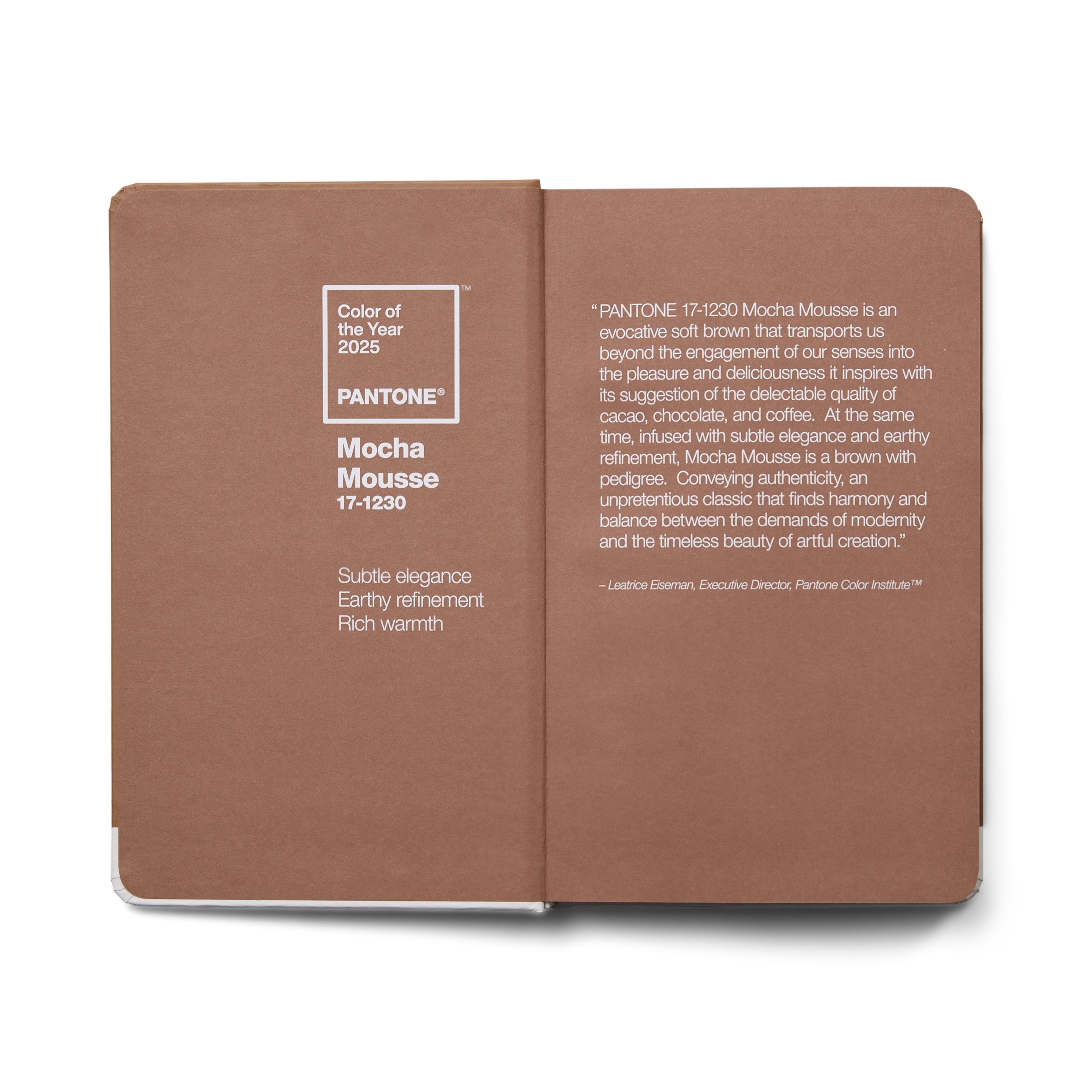 PANTONE Notizbuch liniert, 192 Seiten, CoY 2025 - Mocha Mousse 17-1230, Farbe des Jahres 2025