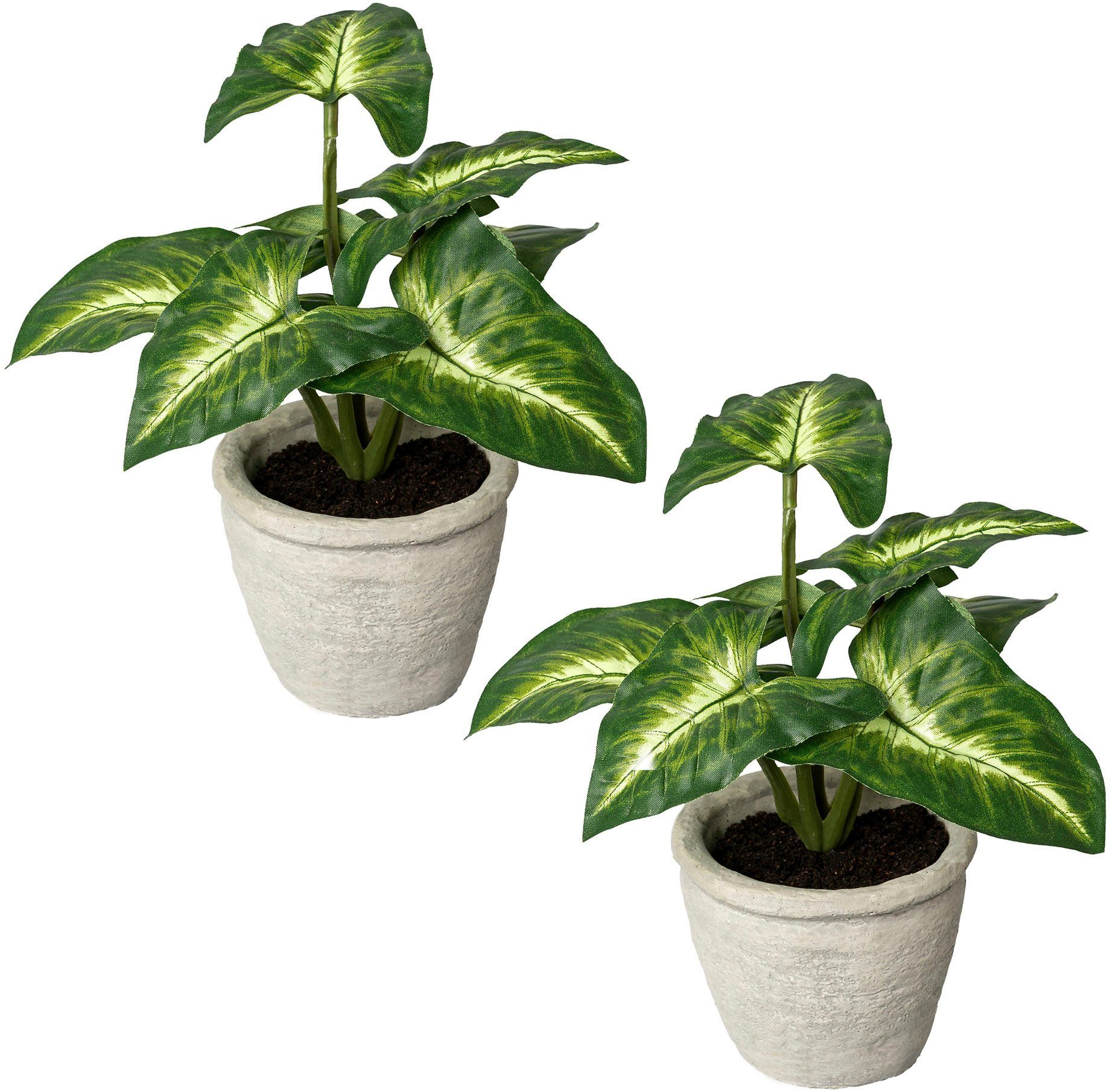 Syngonium, im 20 Syngonium green, cm, Zementtopf, Künstliche Höhe 2er Set Blattpflanze Zimmerpflanze Creativ
