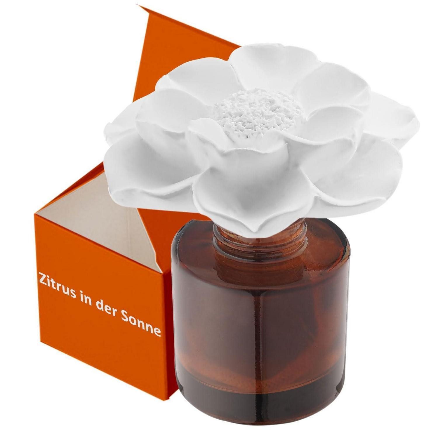LuxusKollektion Diffuser Duftset Citrus 50ml Gipsblüte
