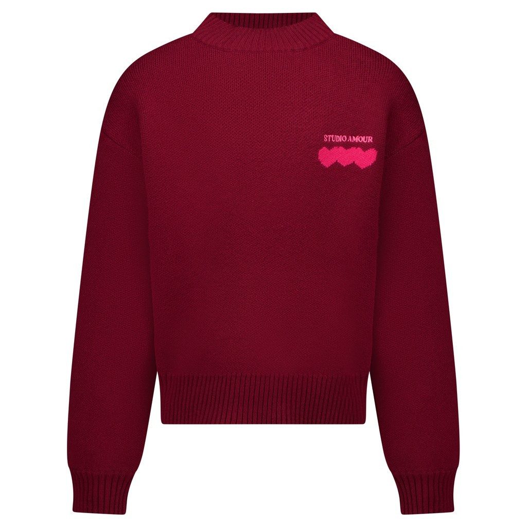 CARS JEANS Sweatshirt Kids NYCA SW Knit Burgundy