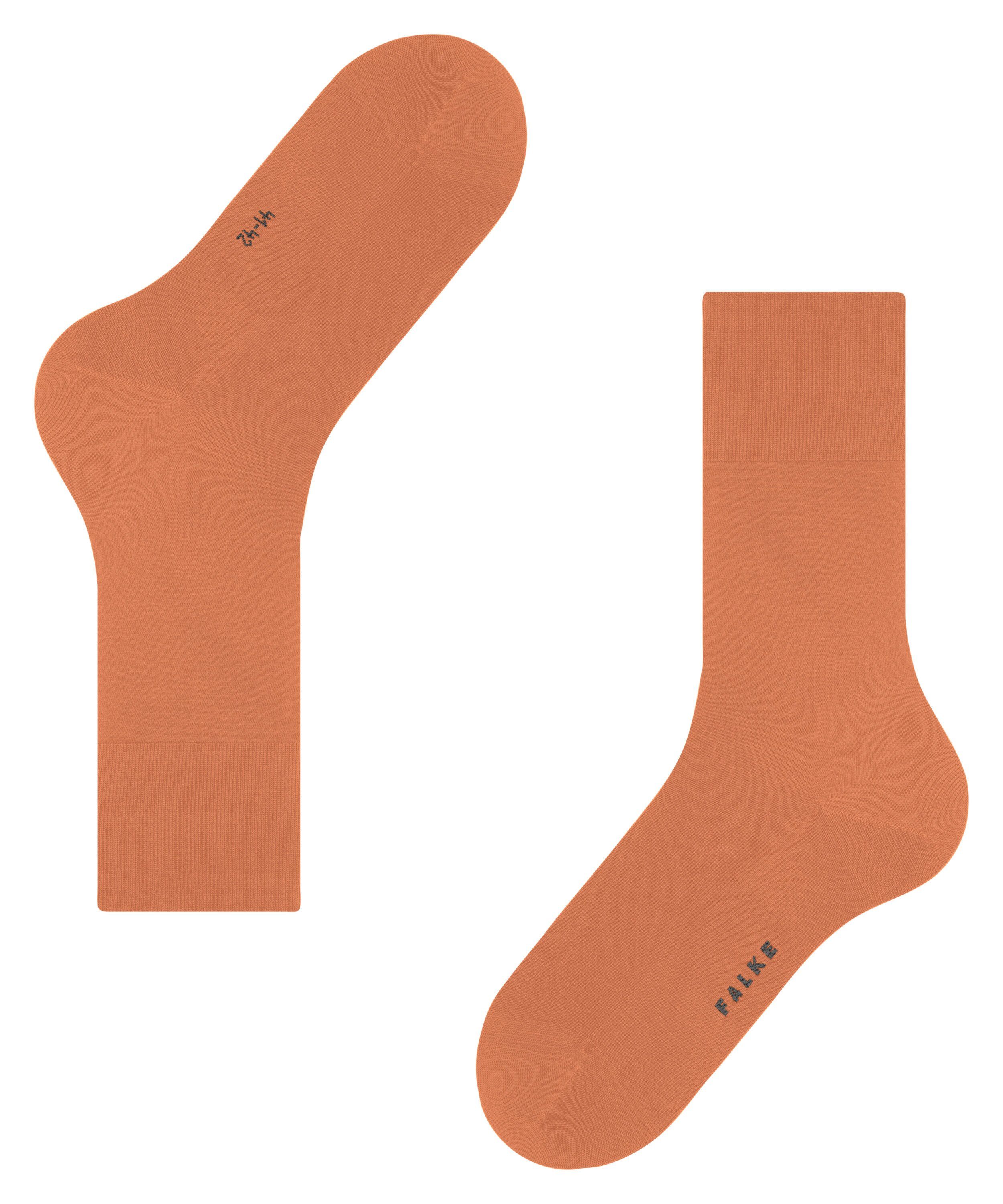 (8576) tandoori ClimaWool Socken (1-Paar) FALKE