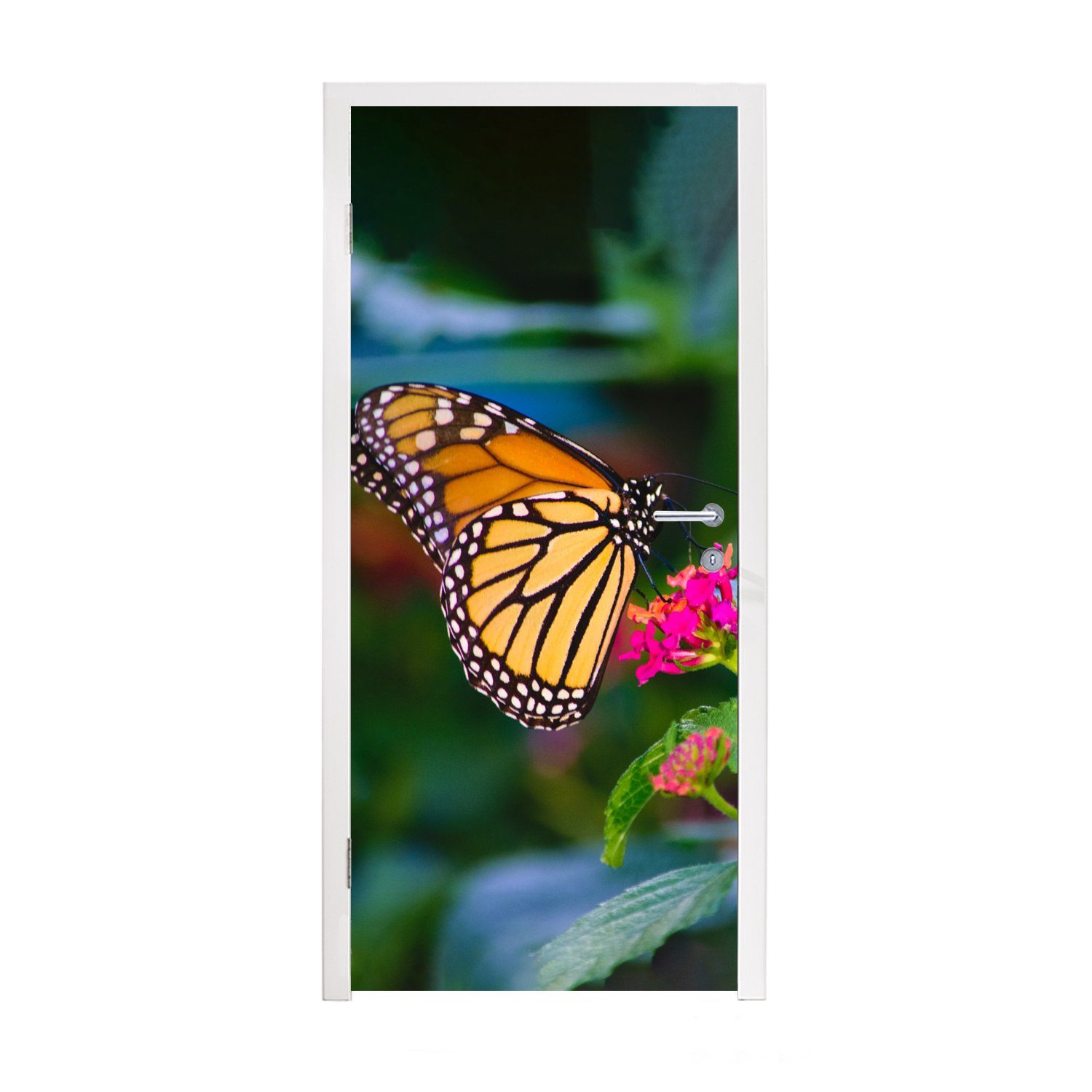 MuchoWow Türtapete für St), (1 Türaufkleber, Natur, - - 75x205 Schmetterlinge cm Blume Fototapete bedruckt, Tür, Matt
