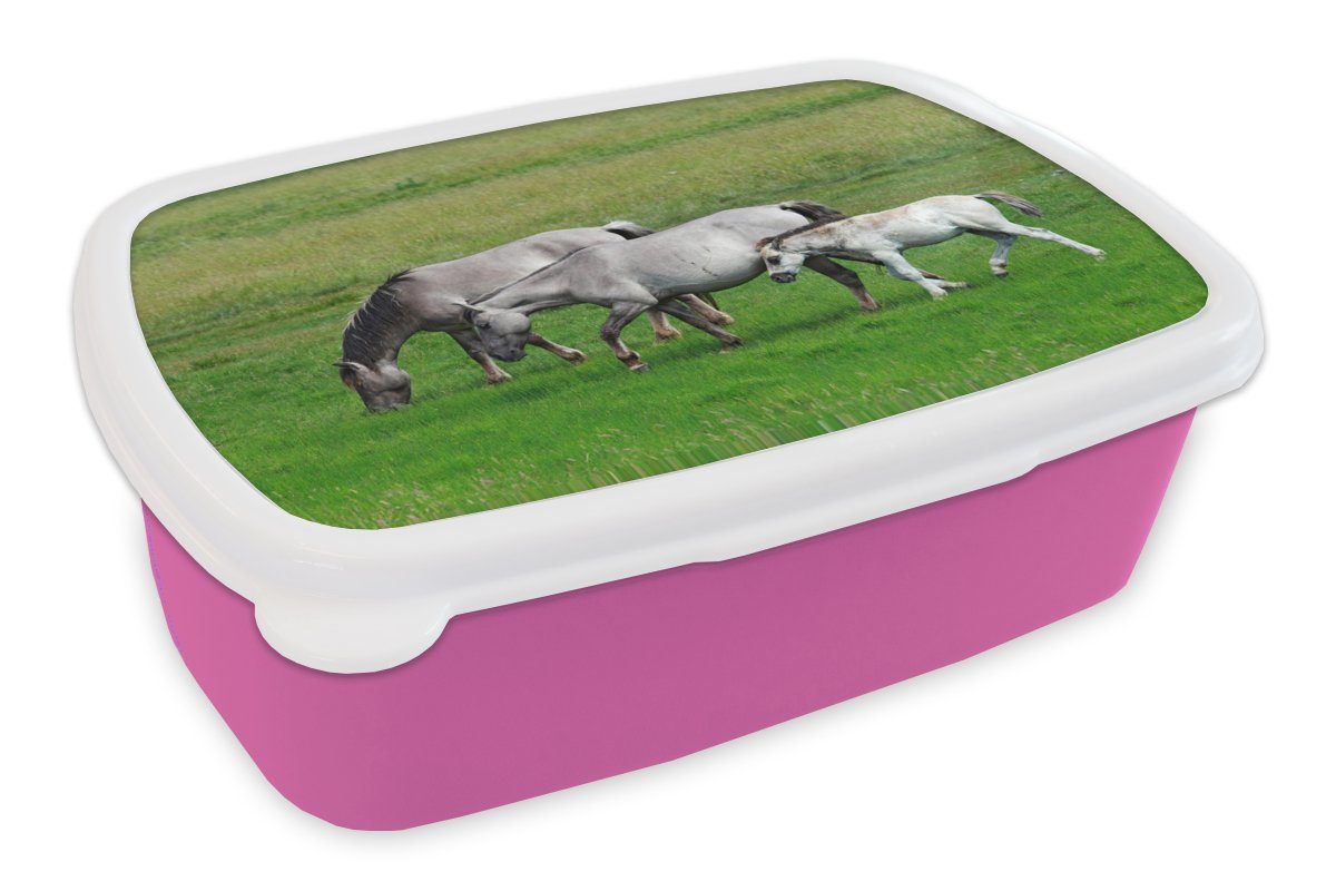 MuchoWow Lunchbox Pferde - Tiere Kinder, Erwachsene, - (2-tlg), Kunststoff, für Mädchen, Kunststoff Gras, Brotbox rosa Brotdose Snackbox