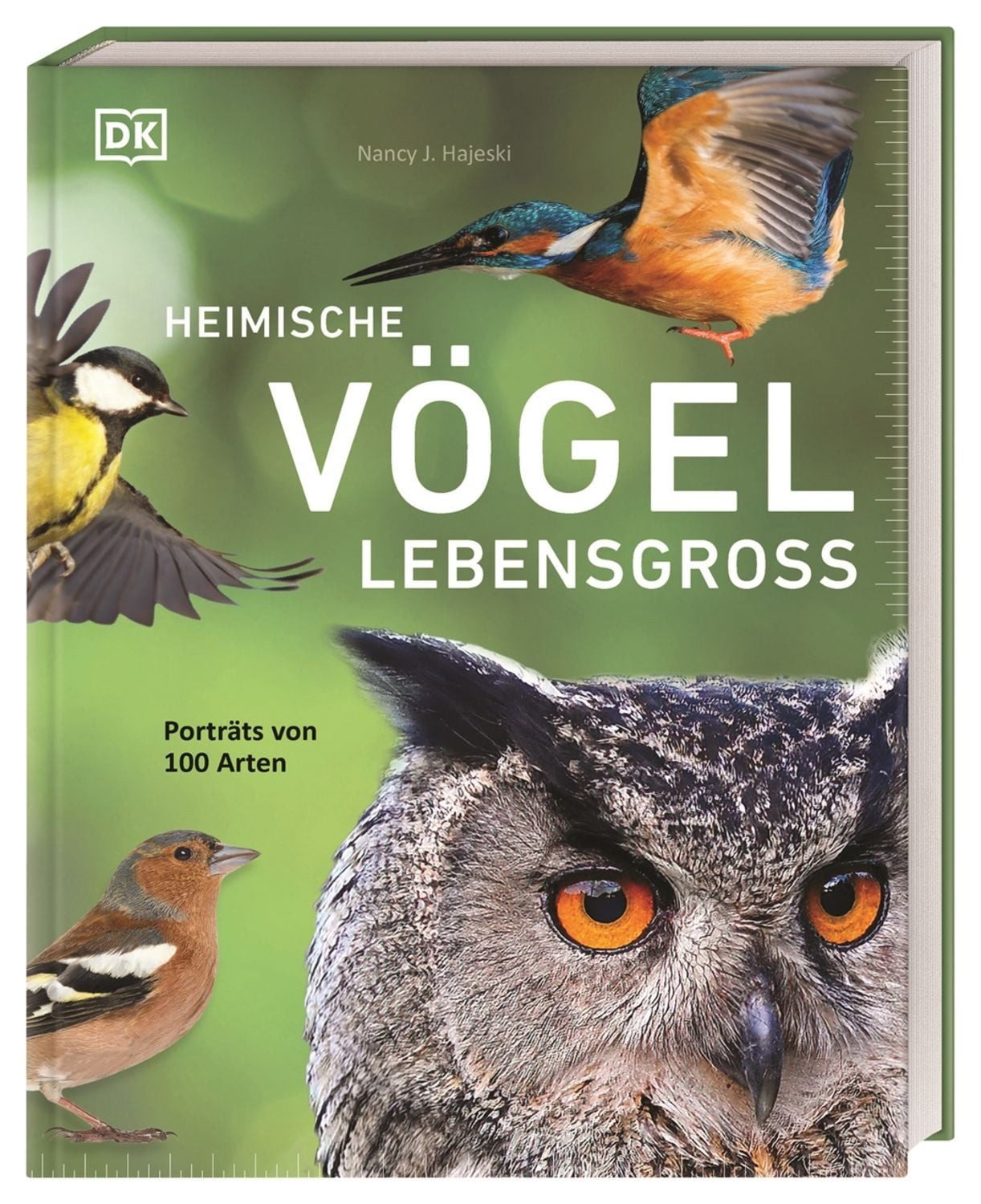 Heimische Vögel lebensgroß / Nancy J. Hajeski