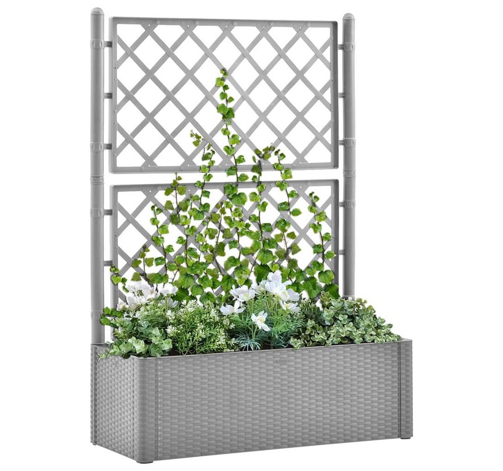 Thumbnail - vidaXL Hochbeet, Garten-Hochbeet mit Spalier und Selbstbewässerungssystem Grau