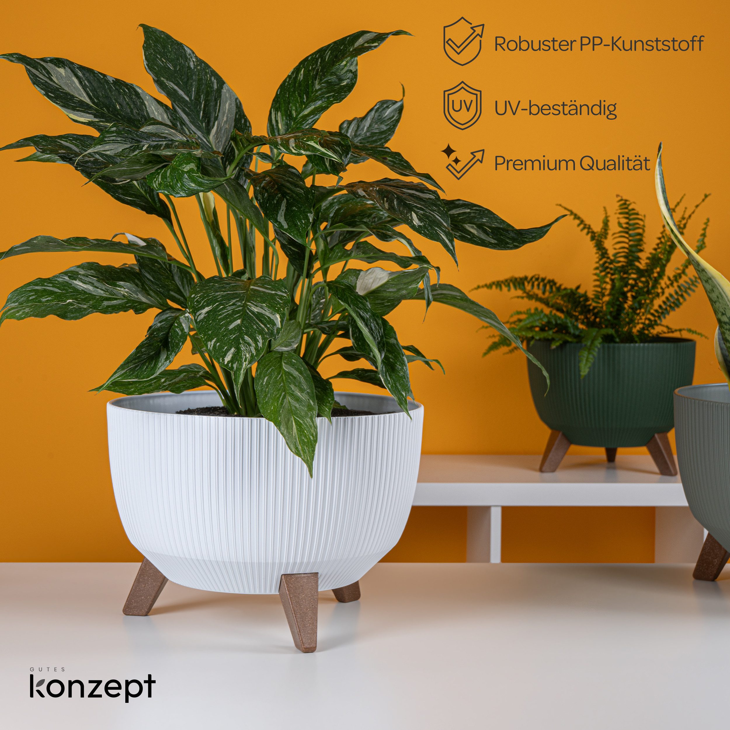 KONZEPT Blumentopf Pflanzenschale mit Füßen 33 günstig online kaufen